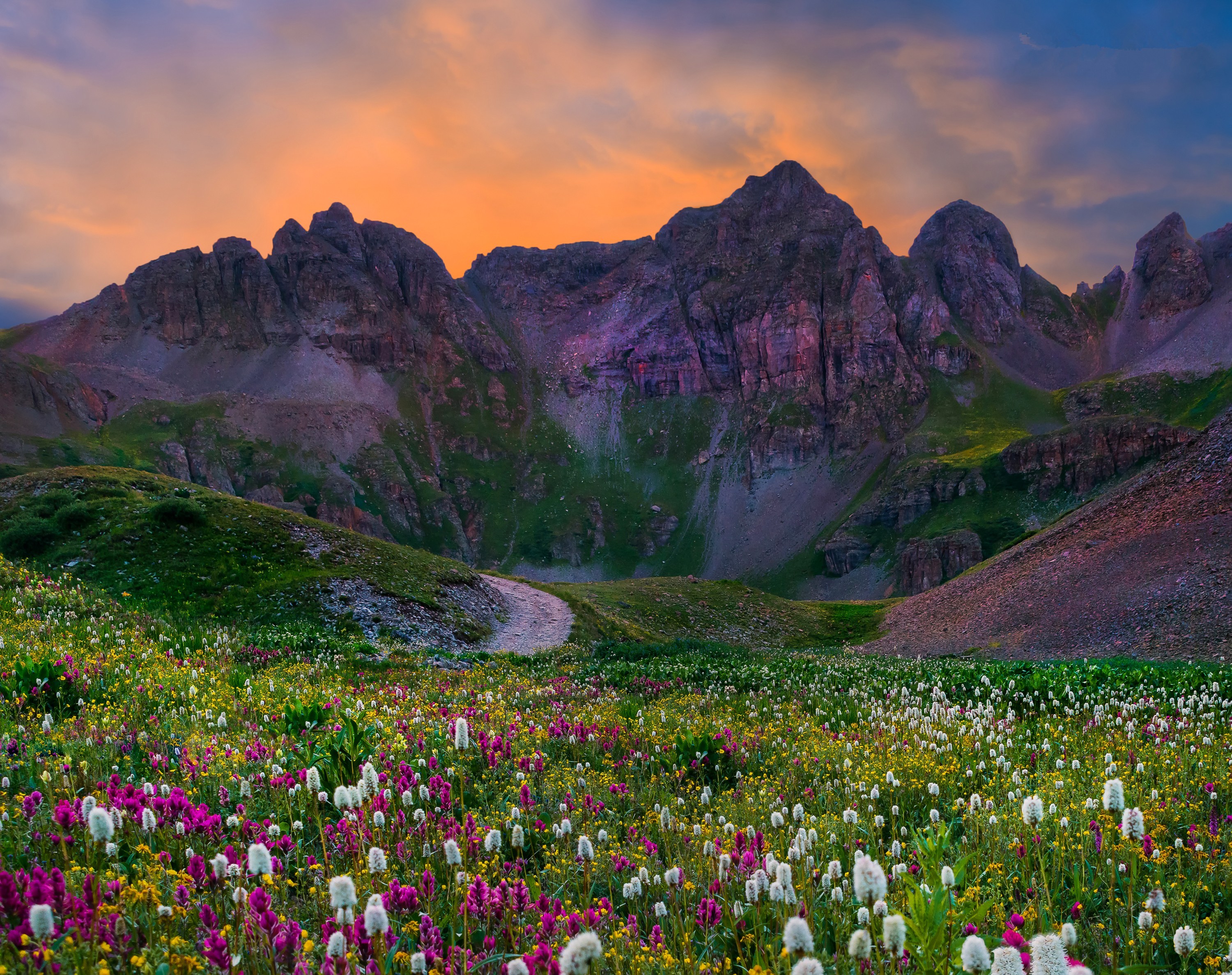 Download mobile wallpaper Landscape, Grass, Mountain, Flower, Earth, Field for free.
