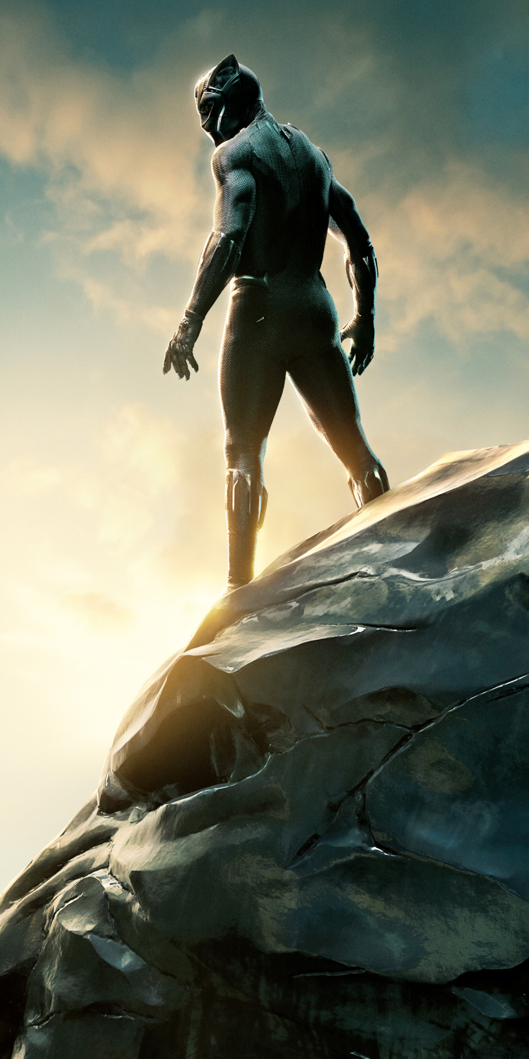 Download mobile wallpaper Movie, Black Panther for free.