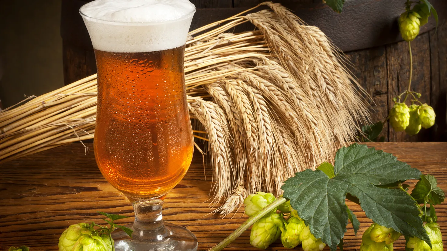 Fond d'écran HD: Nourriture, Bière, De L'alcool, Verre, Saut, Nature ...