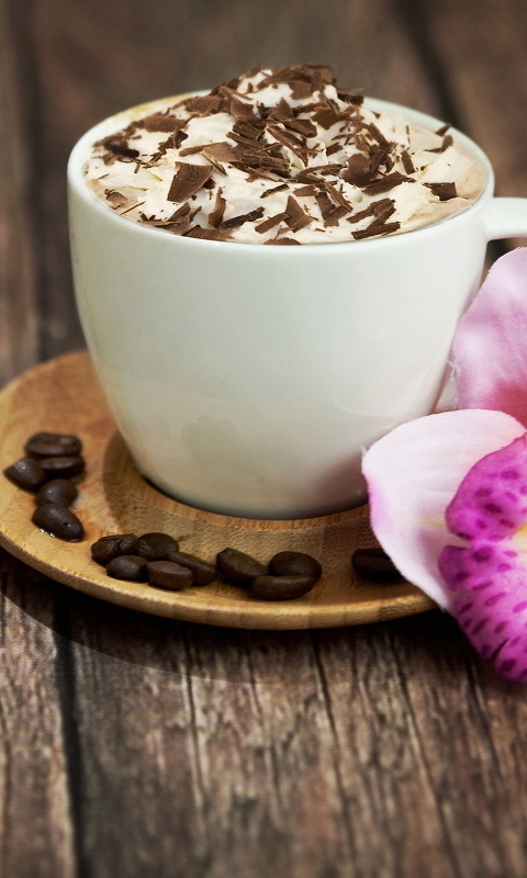Download mobile wallpaper Food, Cappuccino, Coffee Beans for free.