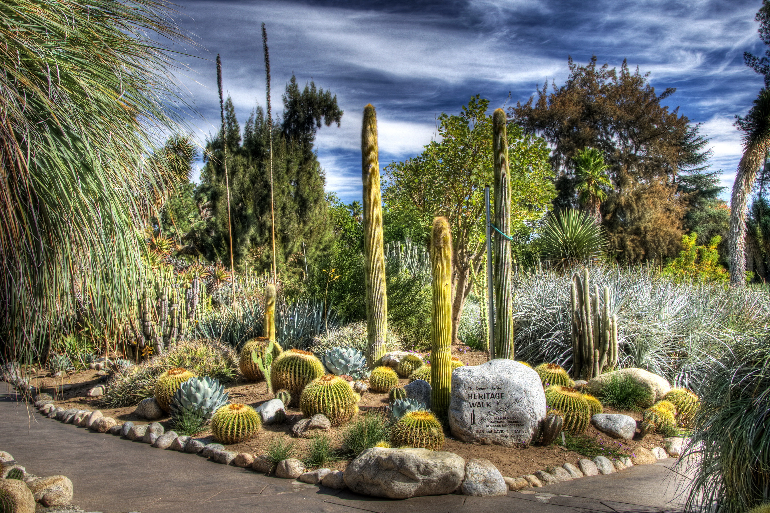 Téléchargez des papiers peints mobile Cactus, Imagerie À Grande Gamme Dynamique, Parc, Photographie, Paysage gratuitement.