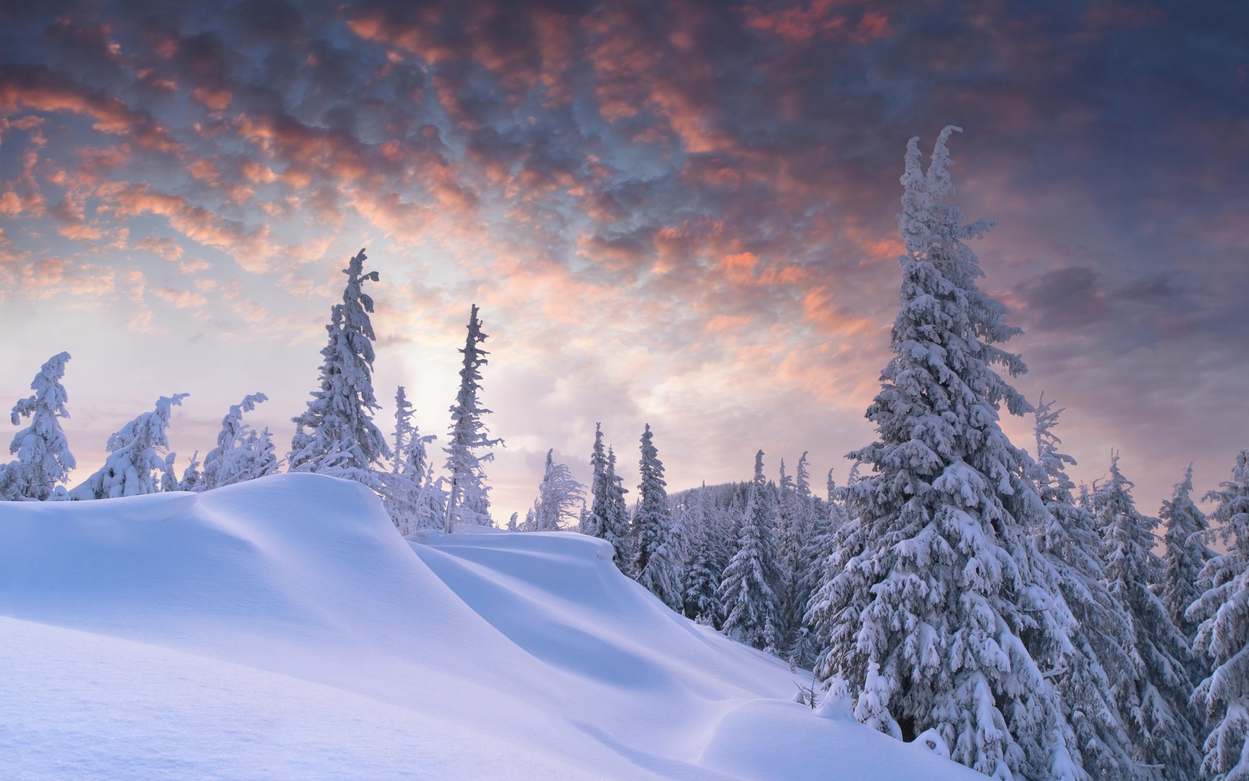 Laden Sie das Winter, Erde/natur-Bild kostenlos auf Ihren PC-Desktop herunter