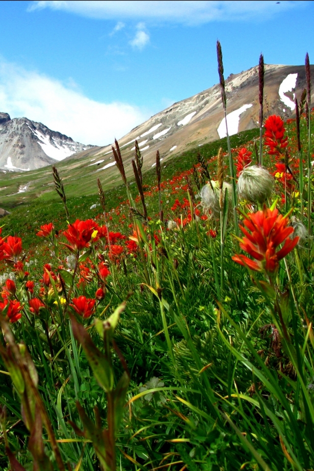 Descarga gratuita de fondo de pantalla para móvil de Montañas, Montaña, Tierra/naturaleza.