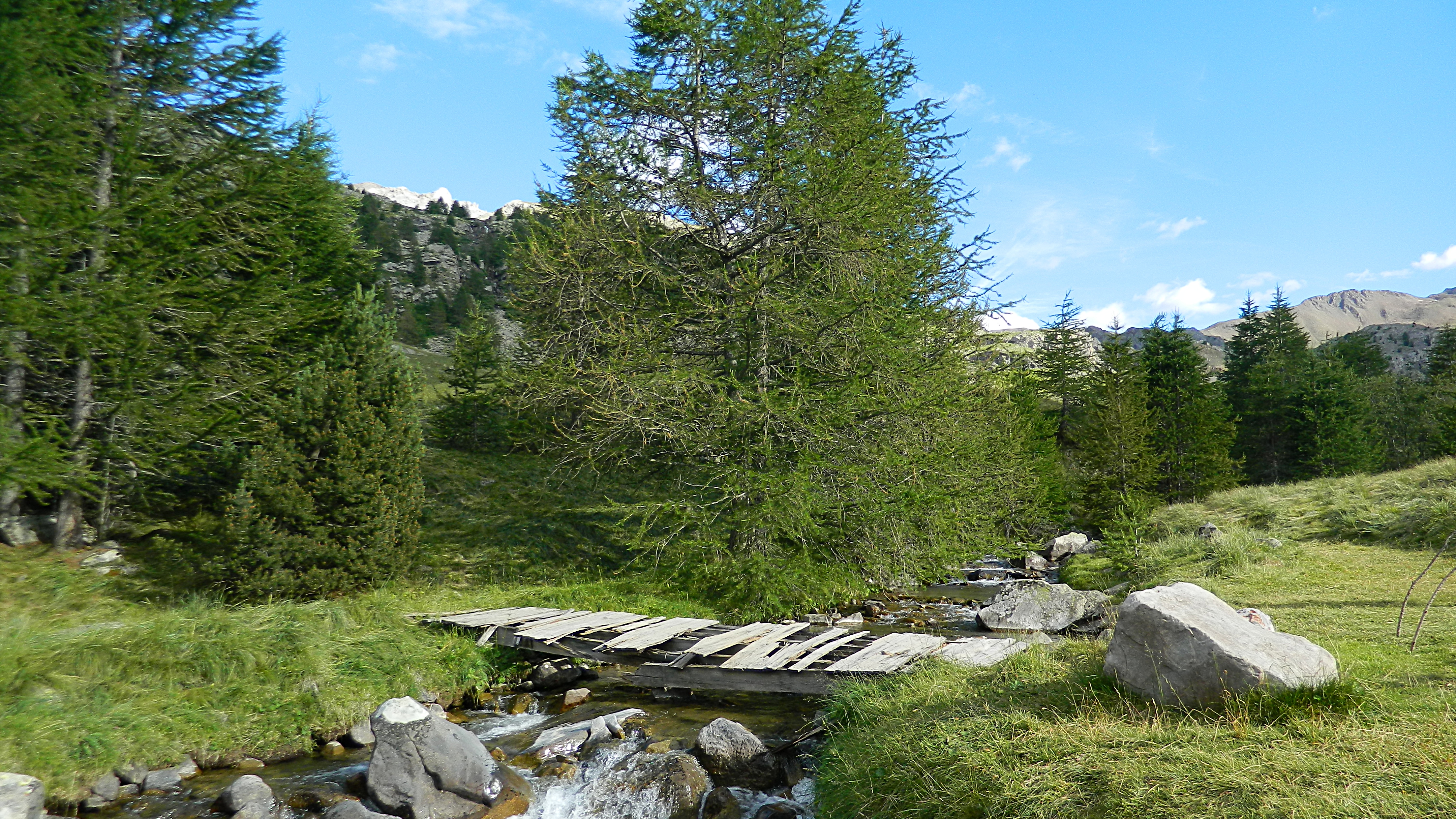 Descarga gratuita de fondo de pantalla para móvil de Naturaleza, Verano, Bosque, Chorro, Tierra/naturaleza.