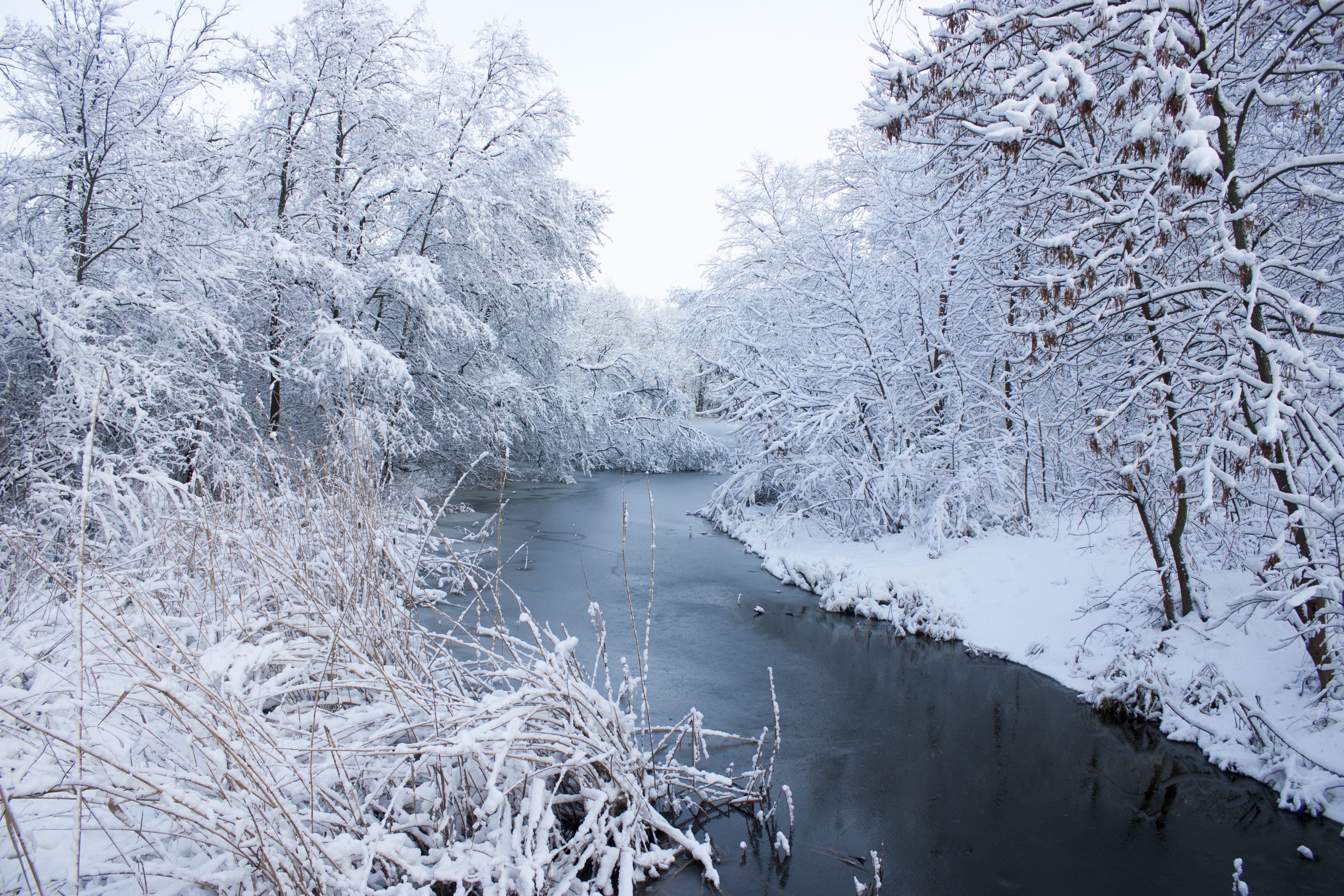 Download mobile wallpaper Winter, Nature, Snow, Earth, River for free.