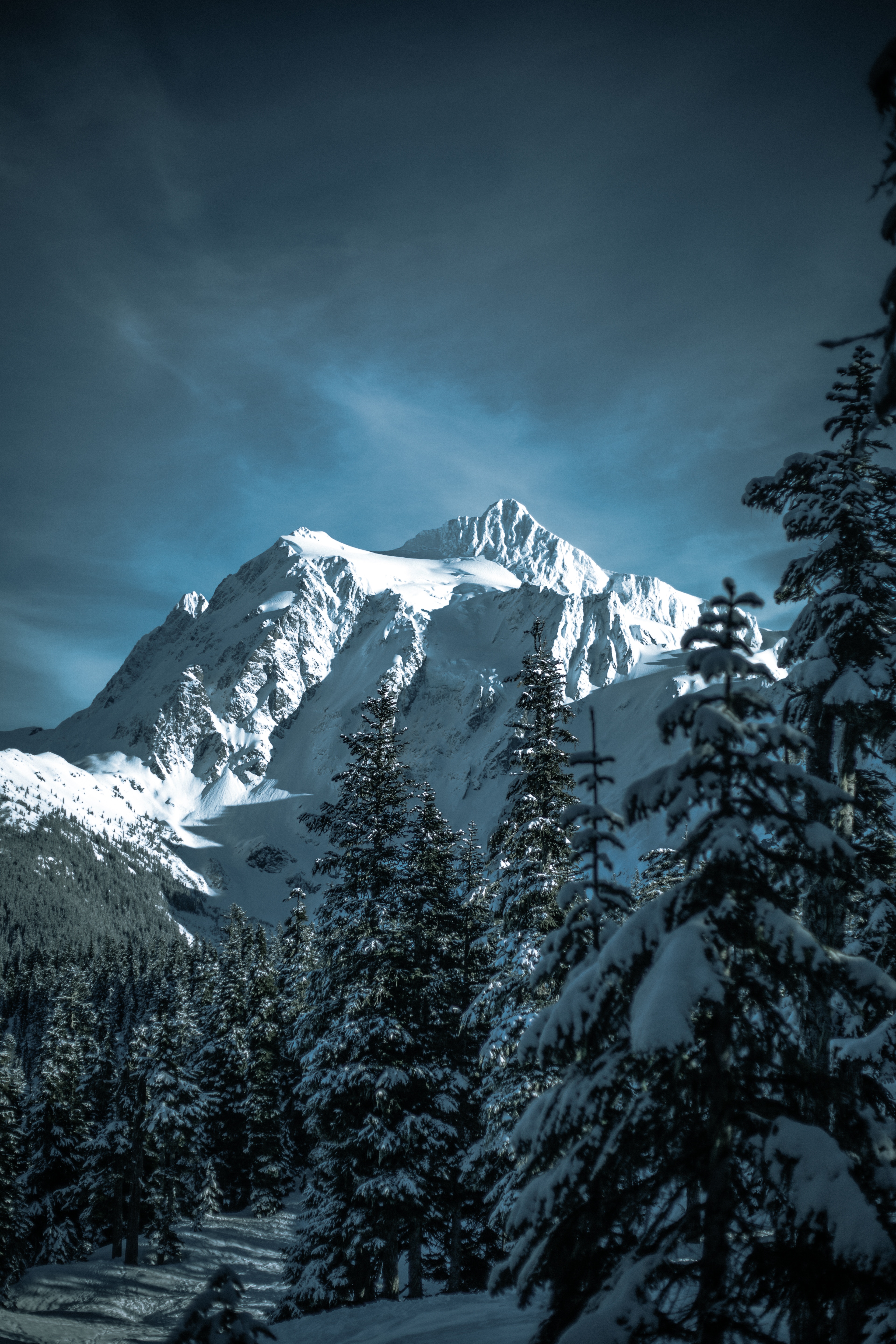 127665 descargar fondo de pantalla bosque, naturaleza, invierno, árboles, montañas, cubierto de nieve, nevado: protectores de pantalla e imágenes gratis
