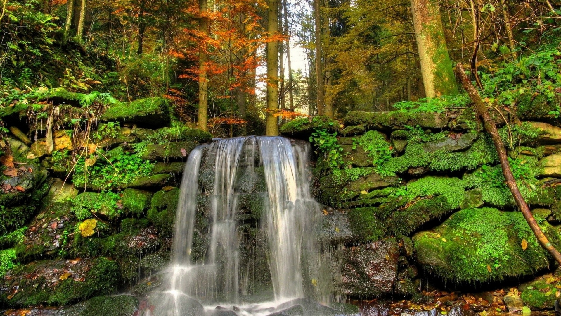 Handy-Wallpaper Natur, Wasser, Wasserfälle, Wasserfall, Wald, Vegetation, Moos, Erde/natur kostenlos herunterladen.