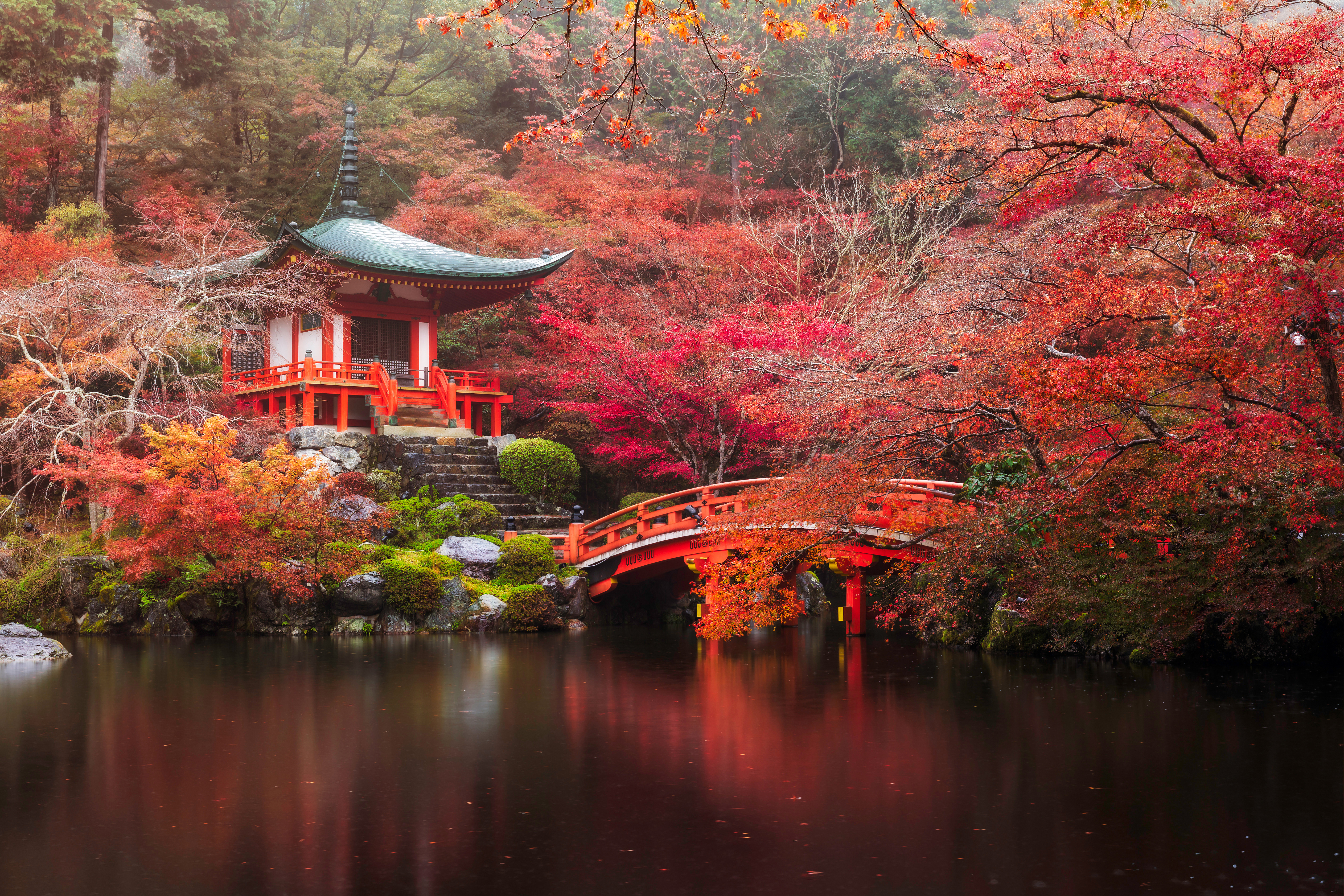 1528047 descargar fondo de pantalla japón, pagoda, templos, religioso, daigo ji, puente, otoño, kioto, naturaleza, parque, estanque, árbol: protectores de pantalla e imágenes gratis