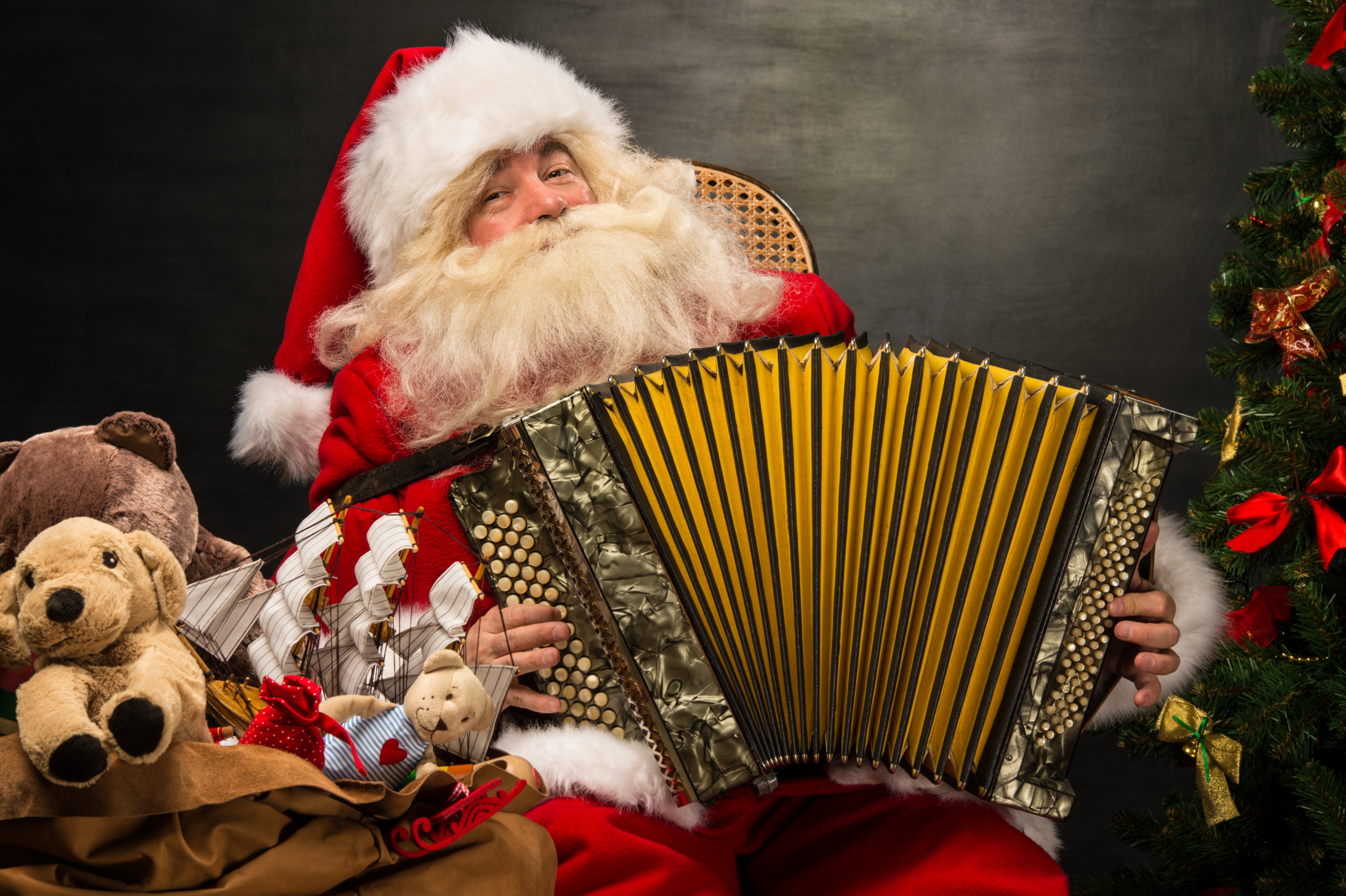 Download mobile wallpaper Christmas, Holiday, Santa, Accordion for free.