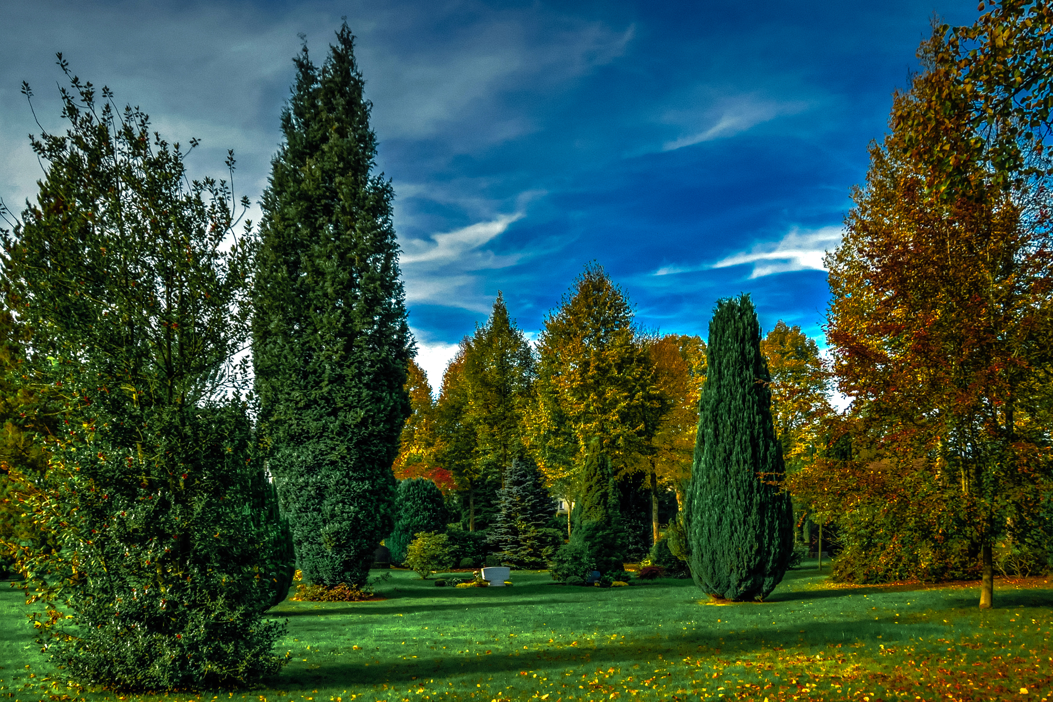 Free download wallpaper Grass, Park, Tree, Photography, Man Made on your PC desktop