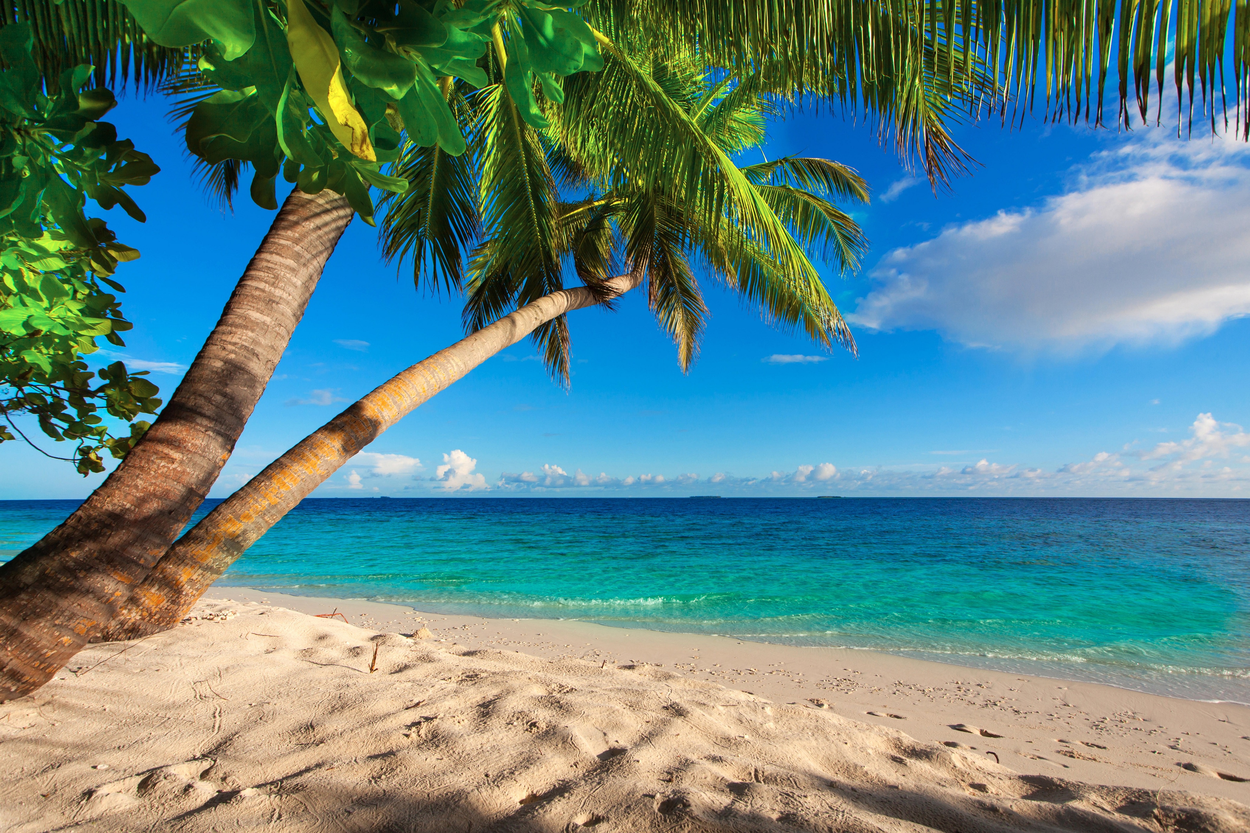 Laden Sie das Natur, Strand, Sand, Horizont, Ozean, Tropen, Meer, Himmel, Erde/natur-Bild kostenlos auf Ihren PC-Desktop herunter