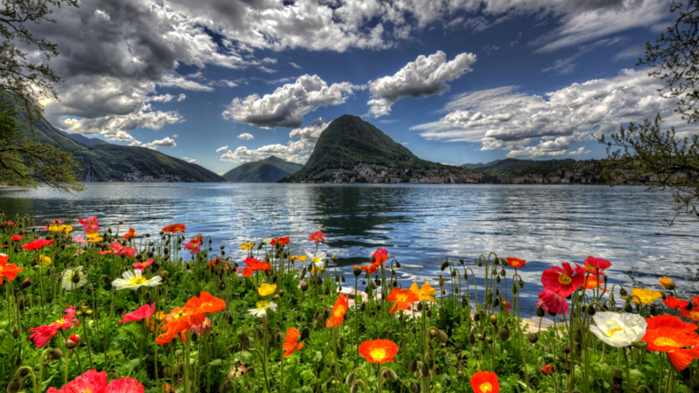 Free download wallpaper Lakes, Lake, Flower, Earth on your PC desktop