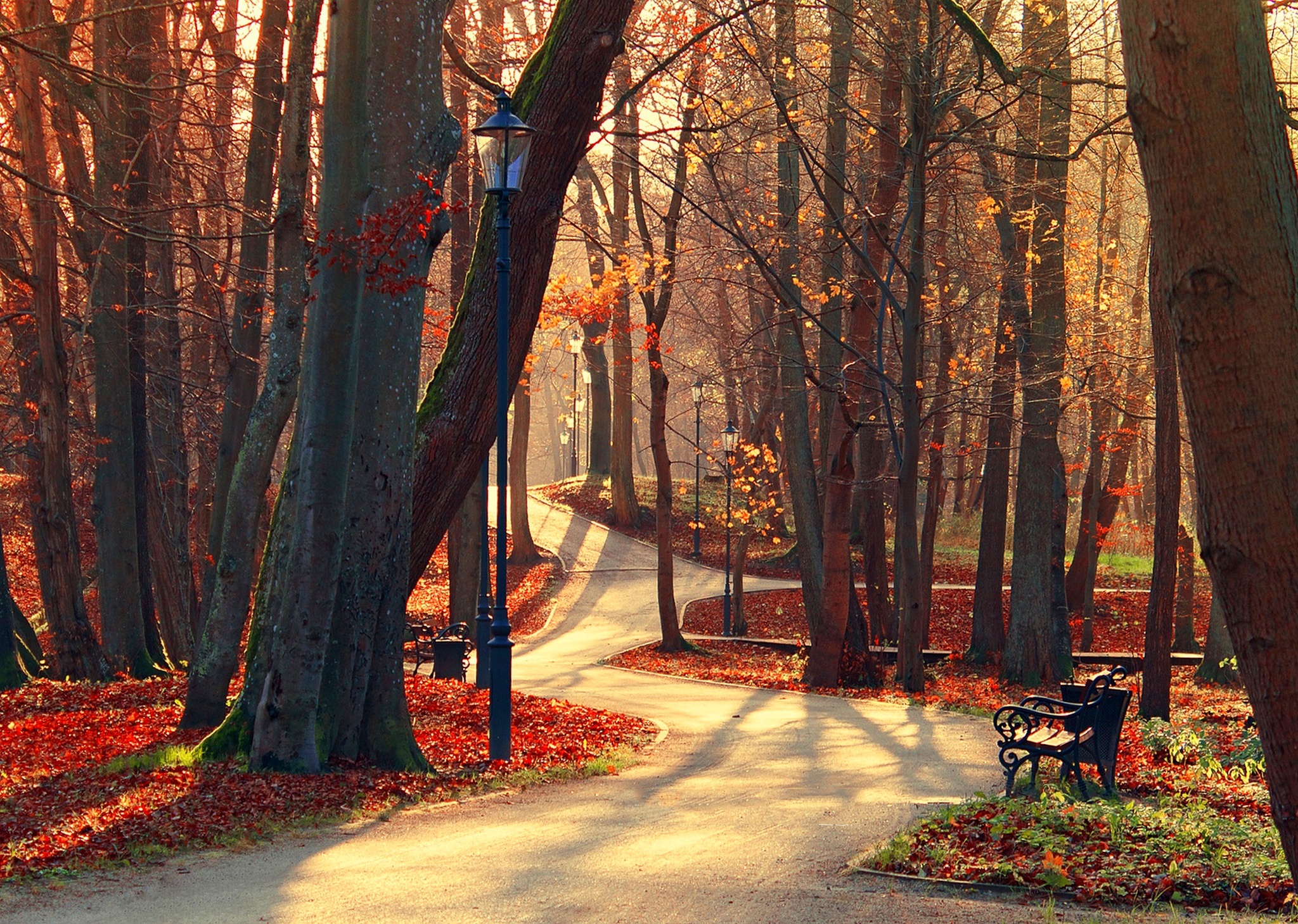 Download mobile wallpaper Road, Park, Tree, Fall, Bench, Photography for free.