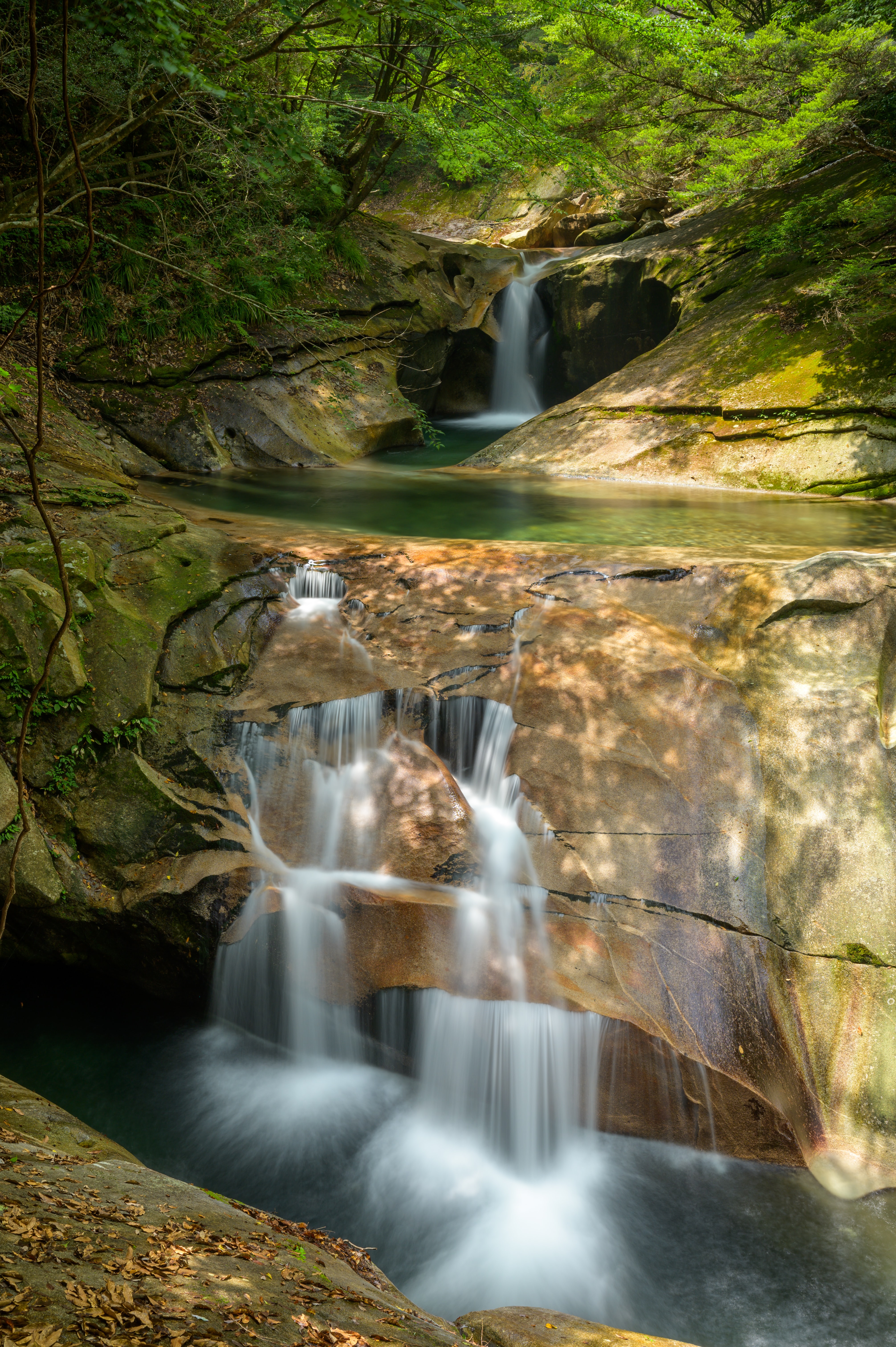 Laden Sie das Wasserfall, Stones, Felsen, Die Steine, Natur, Bäume, Landschaft-Bild kostenlos auf Ihren PC-Desktop herunter