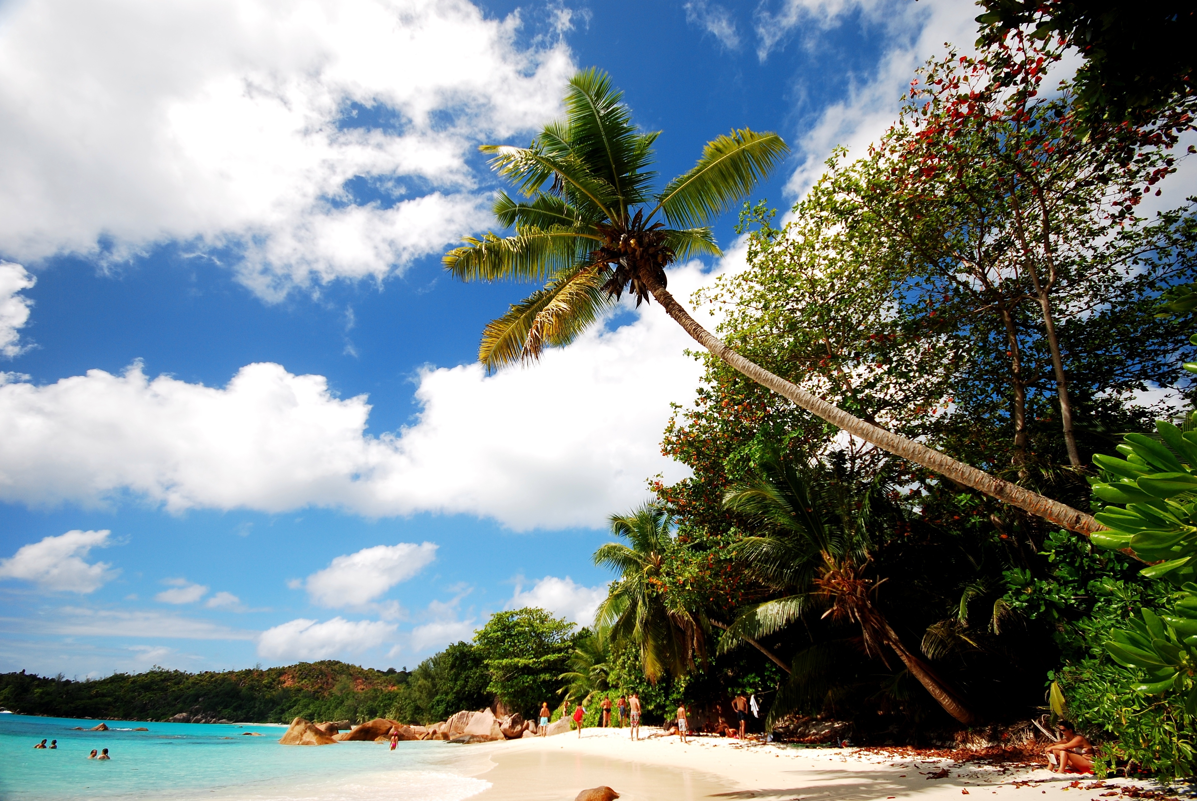 Free download wallpaper Nature, Shore, Bank, Sand, Palms, Beach on your PC desktop
