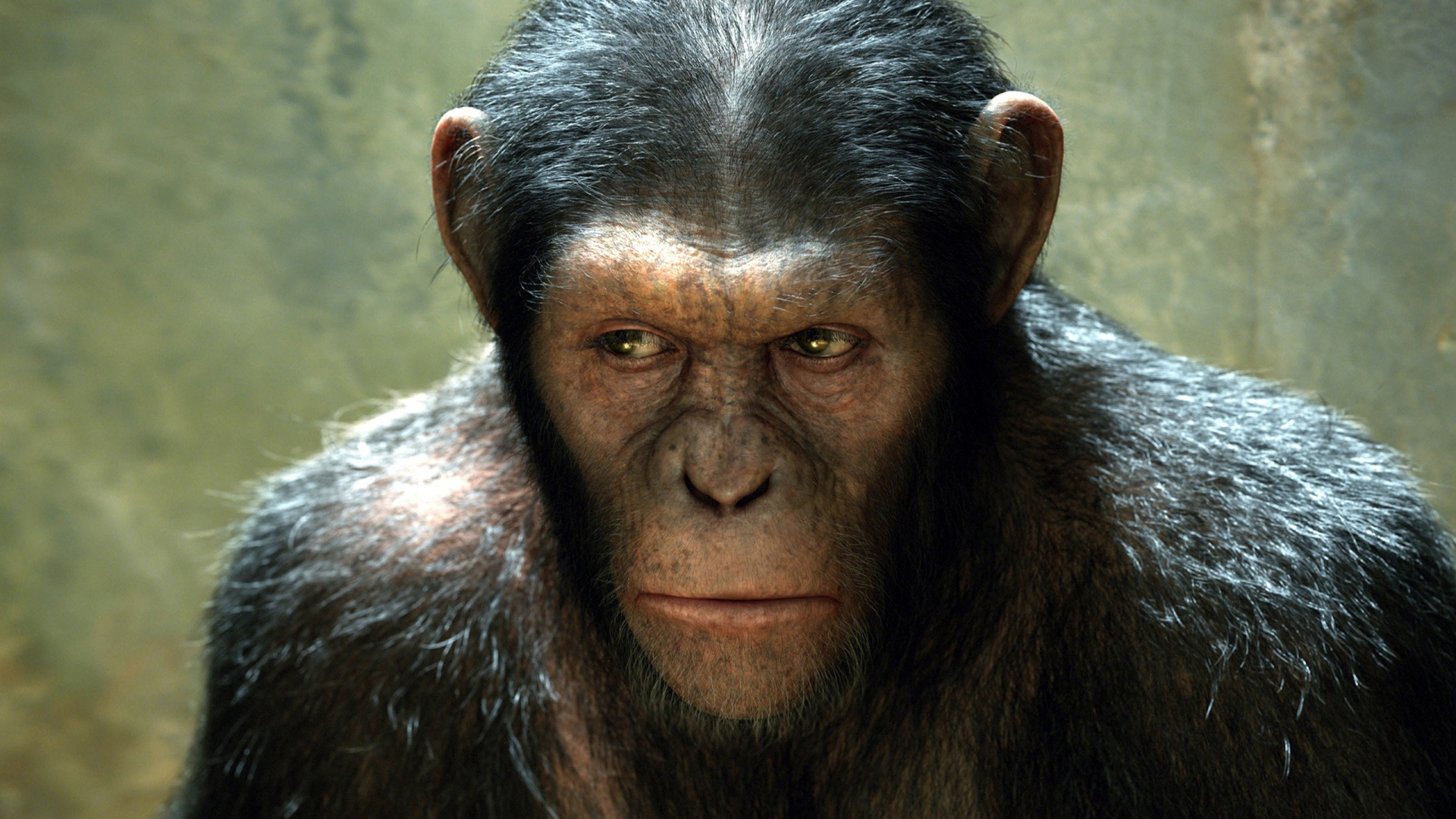 810930 baixar papel de parede filme, ascensão do planeta dos macacos - protetores de tela e imagens gratuitamente