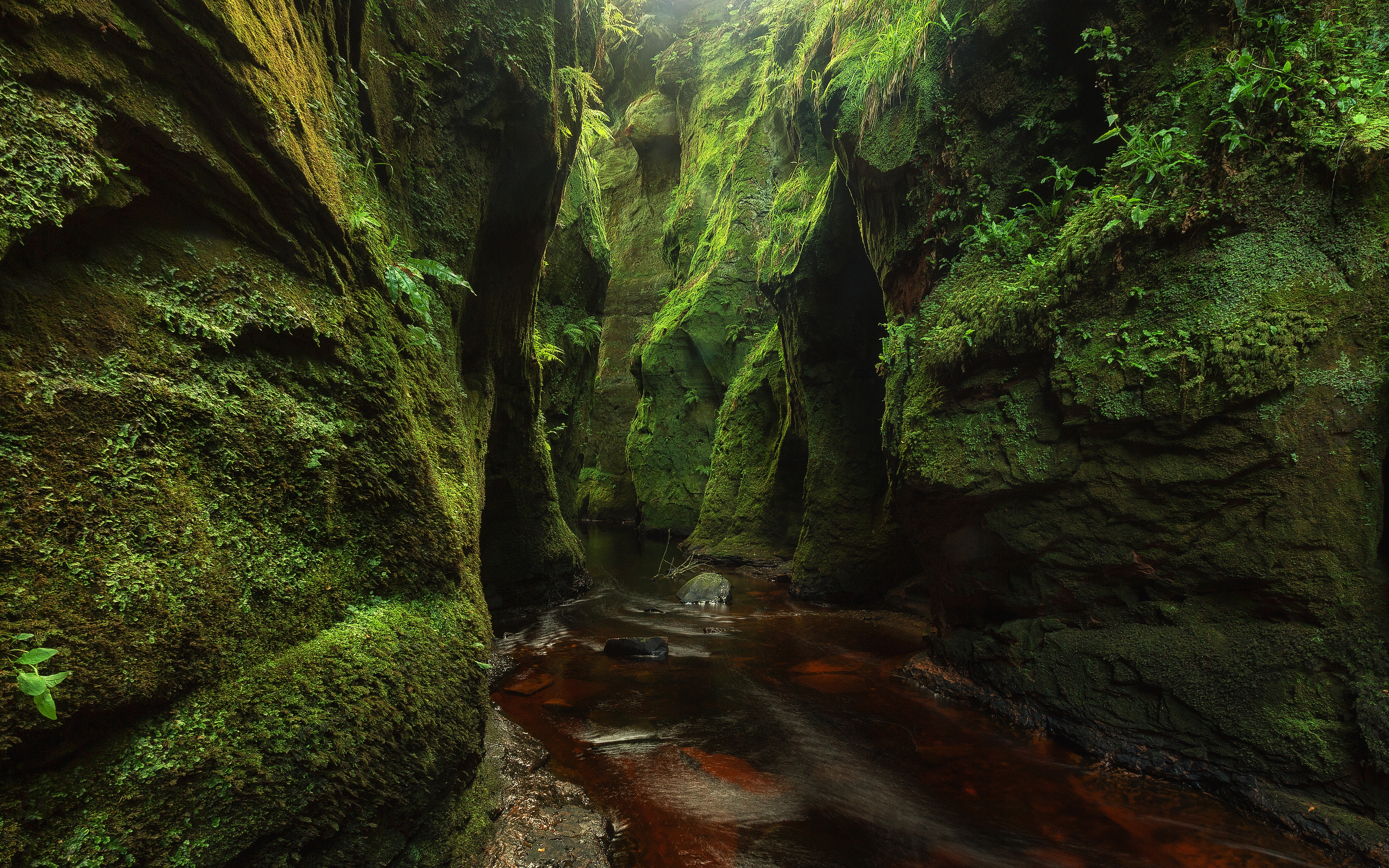 Free download wallpaper Nature, Canyon, Earth, Moss, Stream, Canyons on your PC desktop