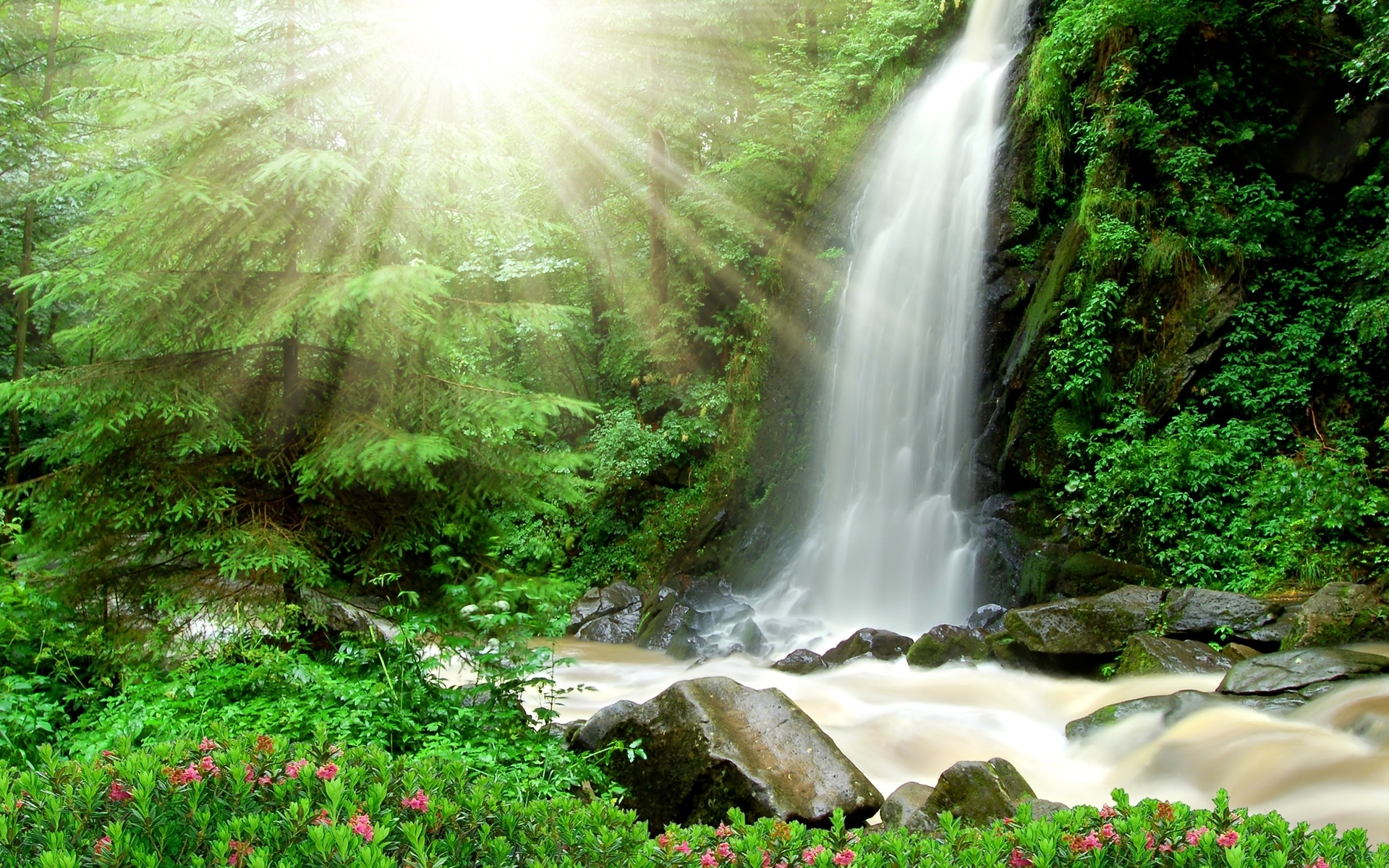 Download mobile wallpaper Nature, Sun, Waterfalls, Flower, Waterfall, Earth, River, Sunbeam for free.