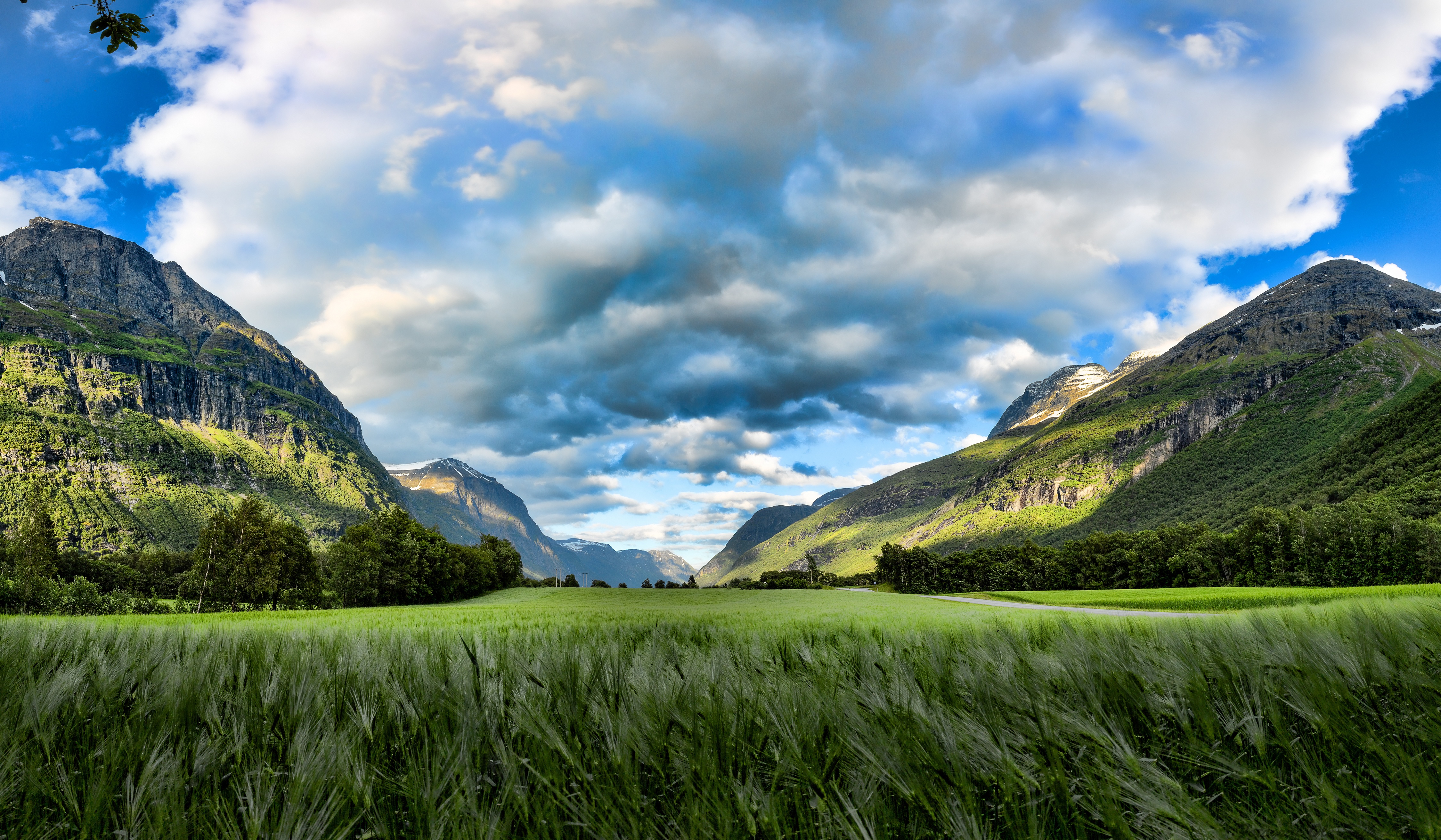 Download mobile wallpaper Landscape, Nature, Summer, Wheat, Mountain, Earth, Field, Cloud for free.