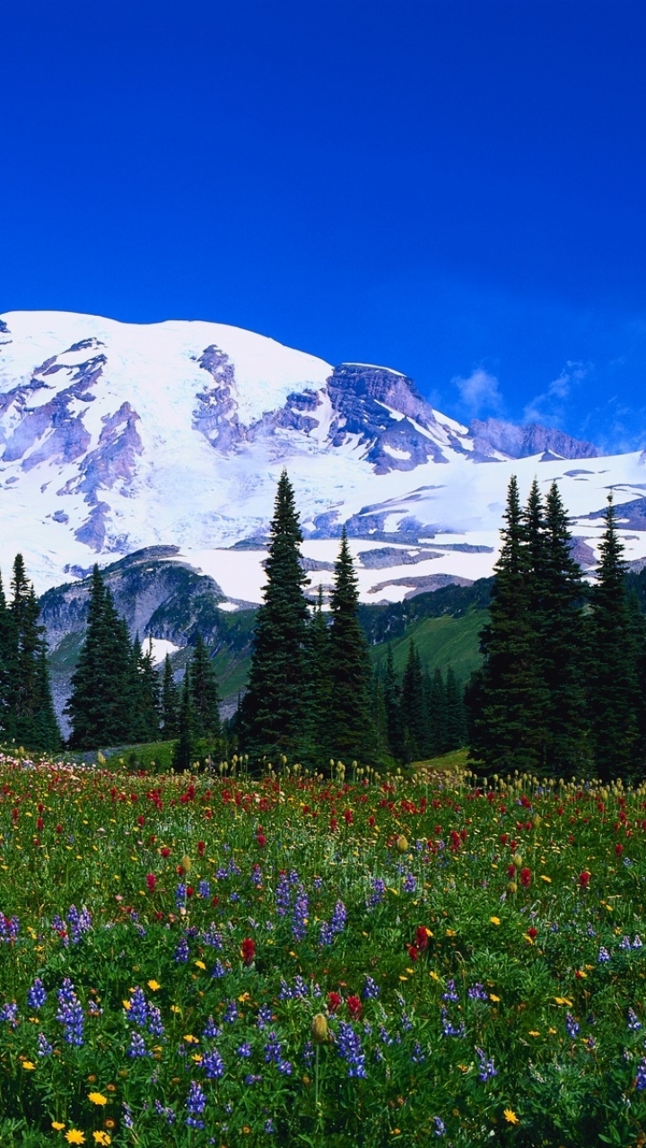 Descarga gratuita de fondo de pantalla para móvil de Montañas, Montaña, Tierra/naturaleza.