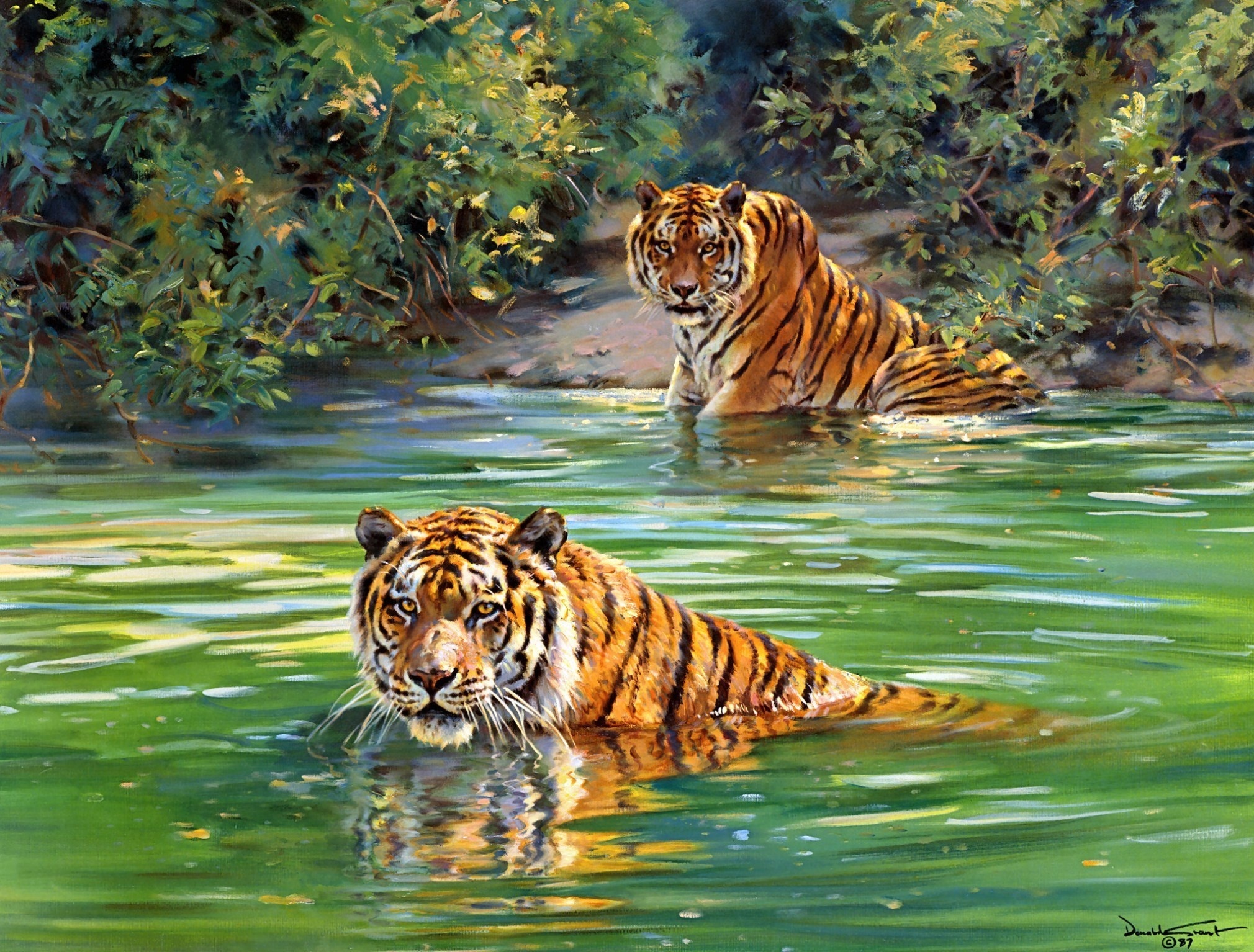 256669 descargar fondo de pantalla animales, tigre, ilustración, selva, gatos: protectores de pantalla e imágenes gratis