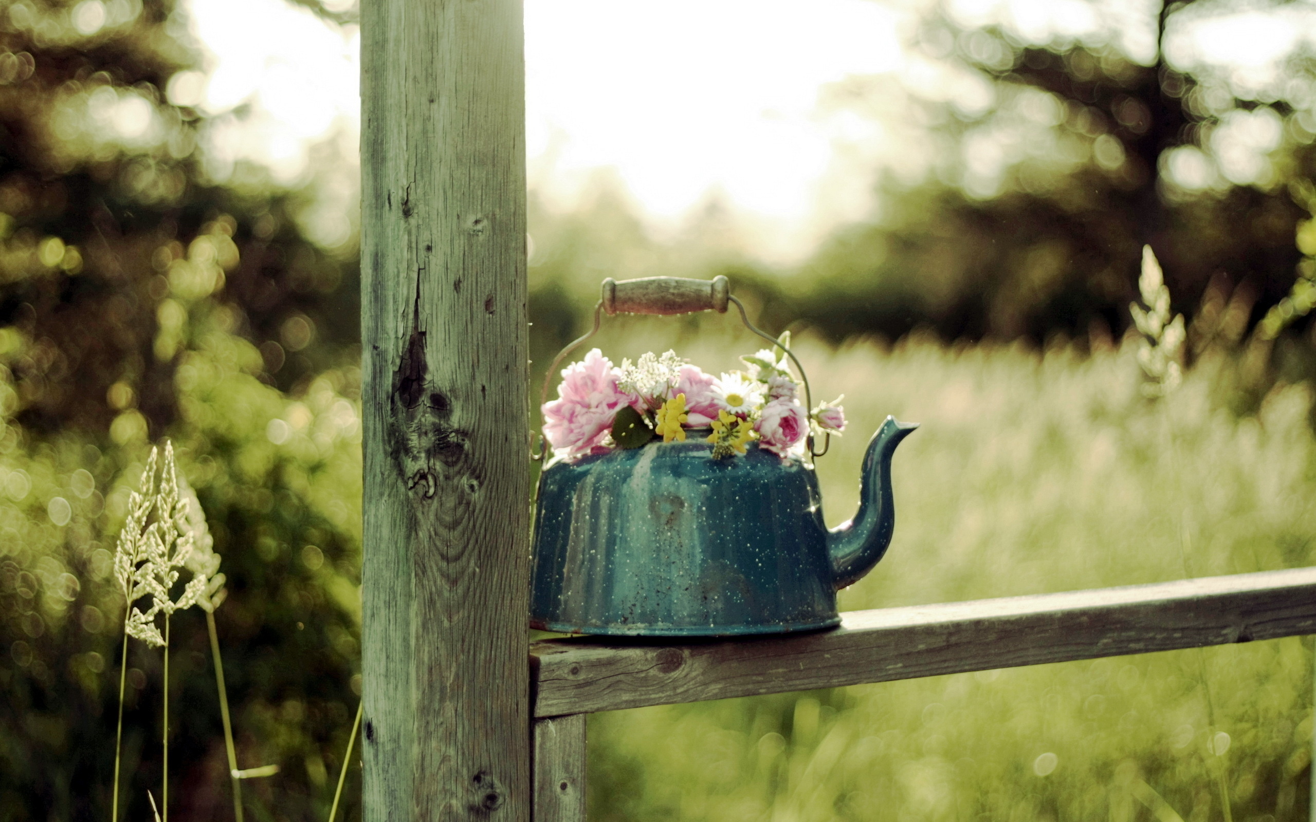 602685 скачать картинку чайник, сделано человеком, цветок - обои и заставки бесплатно