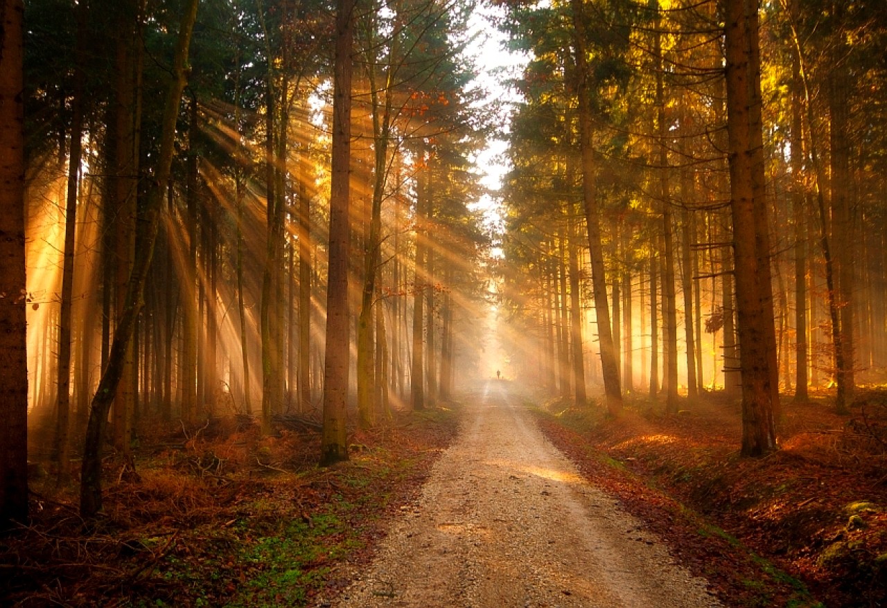 Descarga gratuita de fondo de pantalla para móvil de Camino, Tierra/naturaleza.