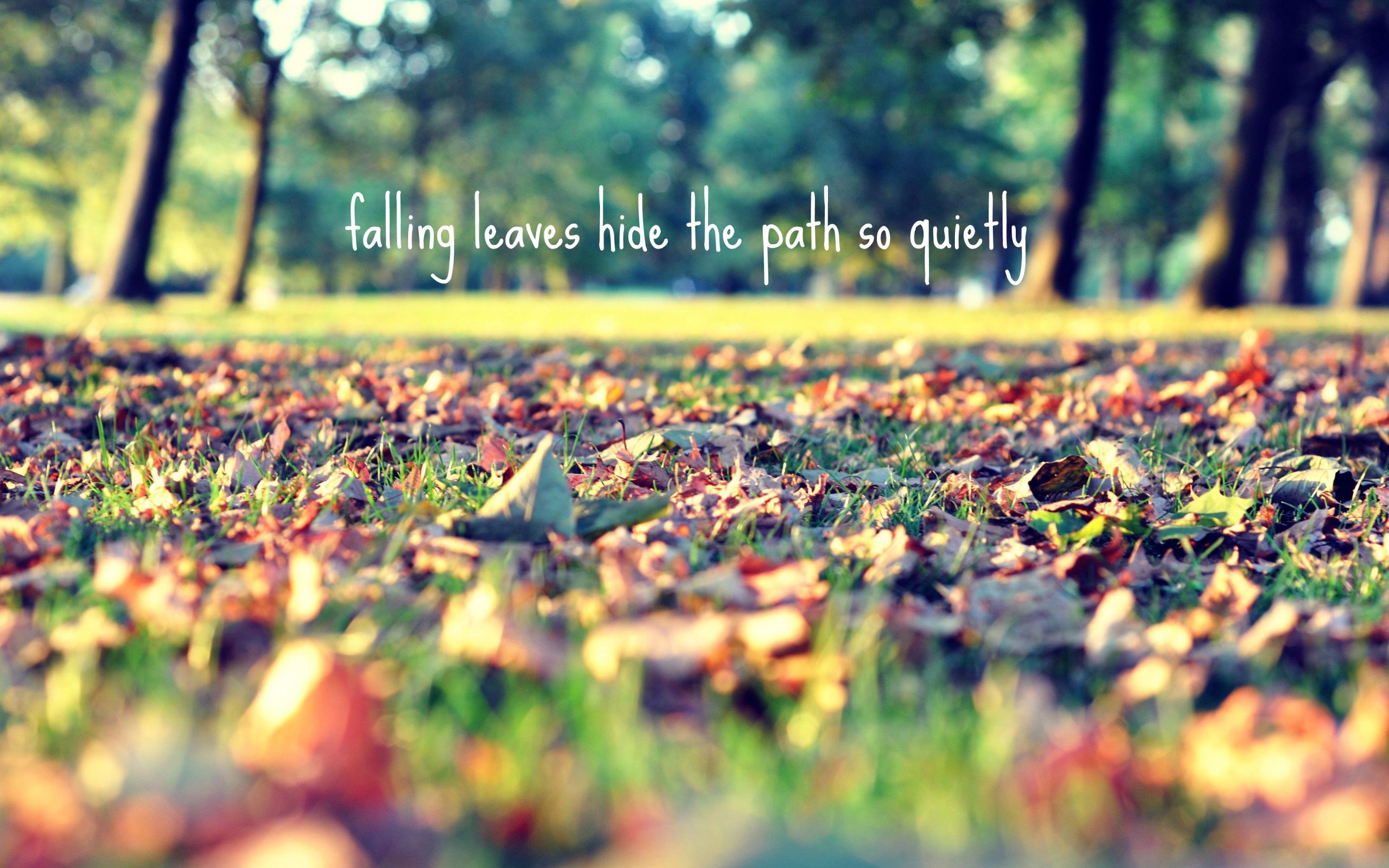 Download mobile wallpaper Statement, Misc, Fall for free.