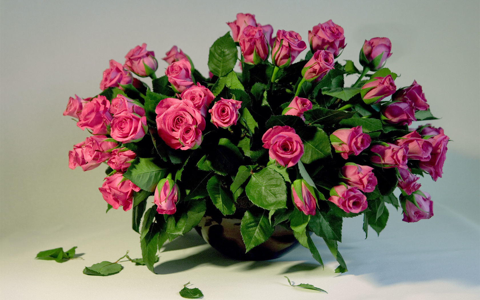 Baixar papel de parede para celular de Plantas, Flores, Bouquets, Rosas gratuito.