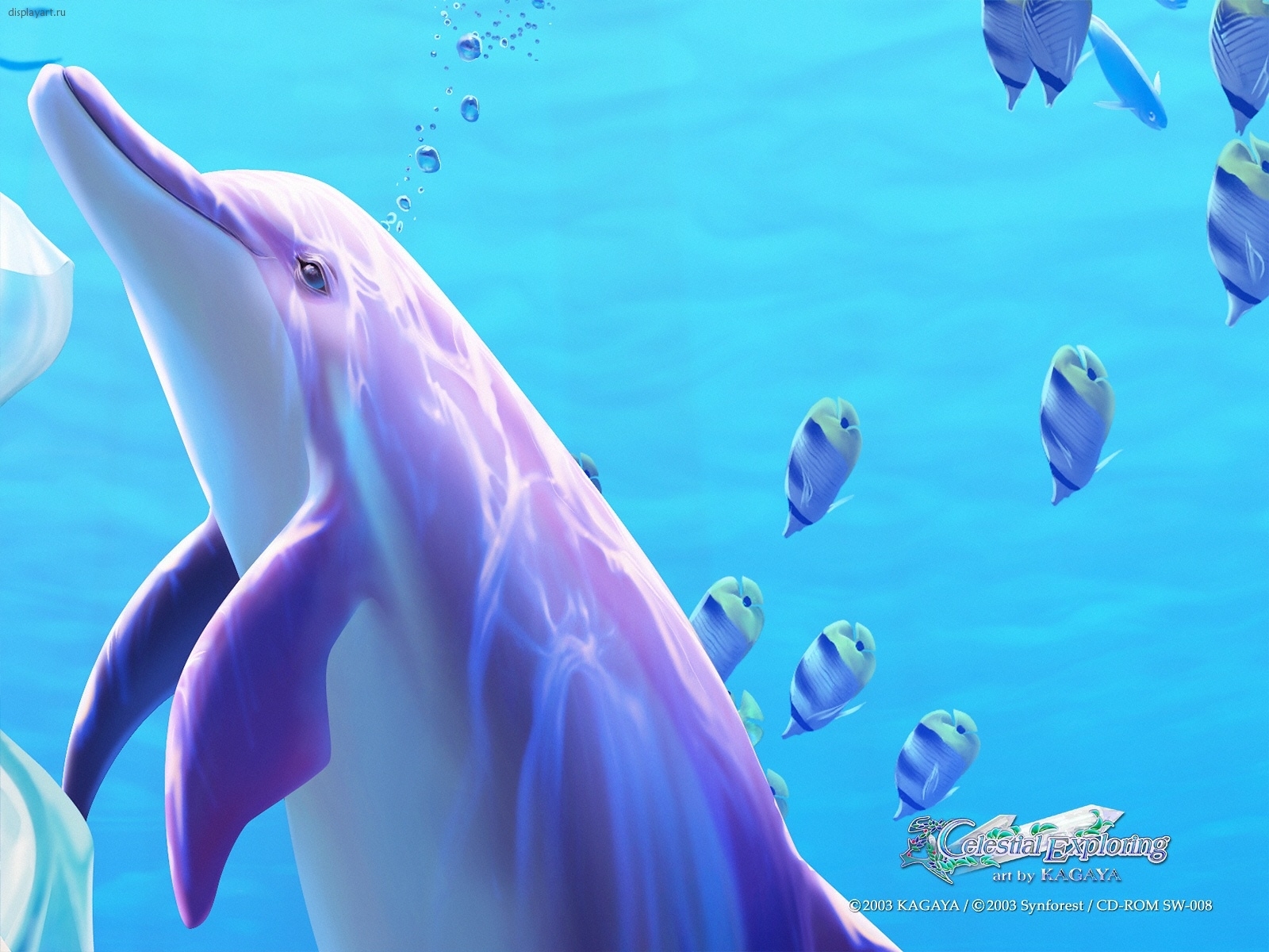 4456 télécharger l'image dauphins, dessins, animaux, eau, mer, turquoise - fonds d'écran et économiseurs d'écran gratuits
