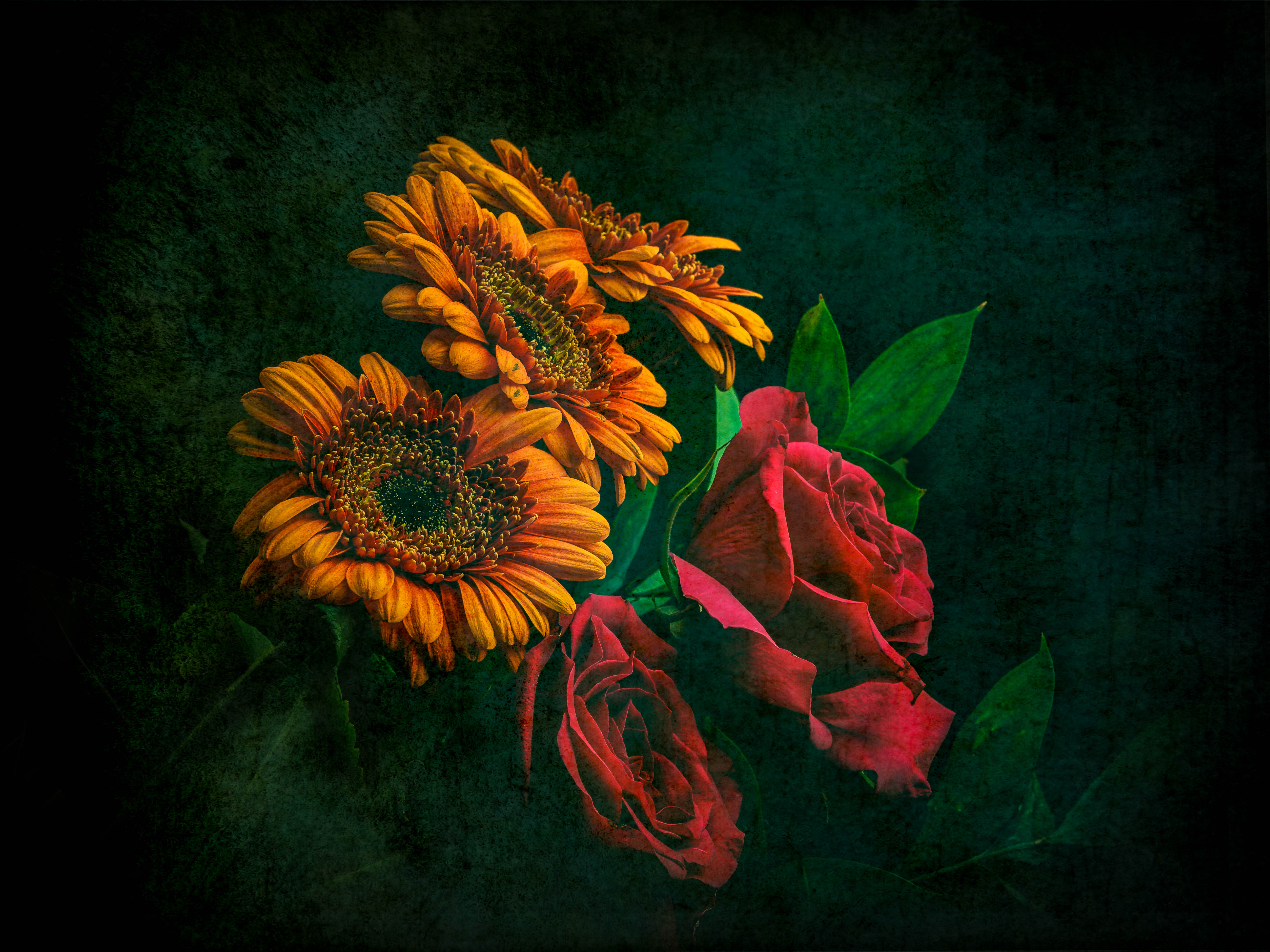 Free download wallpaper Flowers, Flower, Rose, Earth, Sunflower, Red Rose, Red Flower, Orange Flower on your PC desktop
