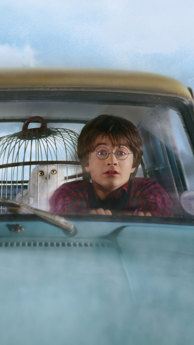 Téléchargez des papiers peints mobile Harry Potter, Daniel Radcliffe, Film, Harry Potter Et La Chambre Des Secrets gratuitement.
