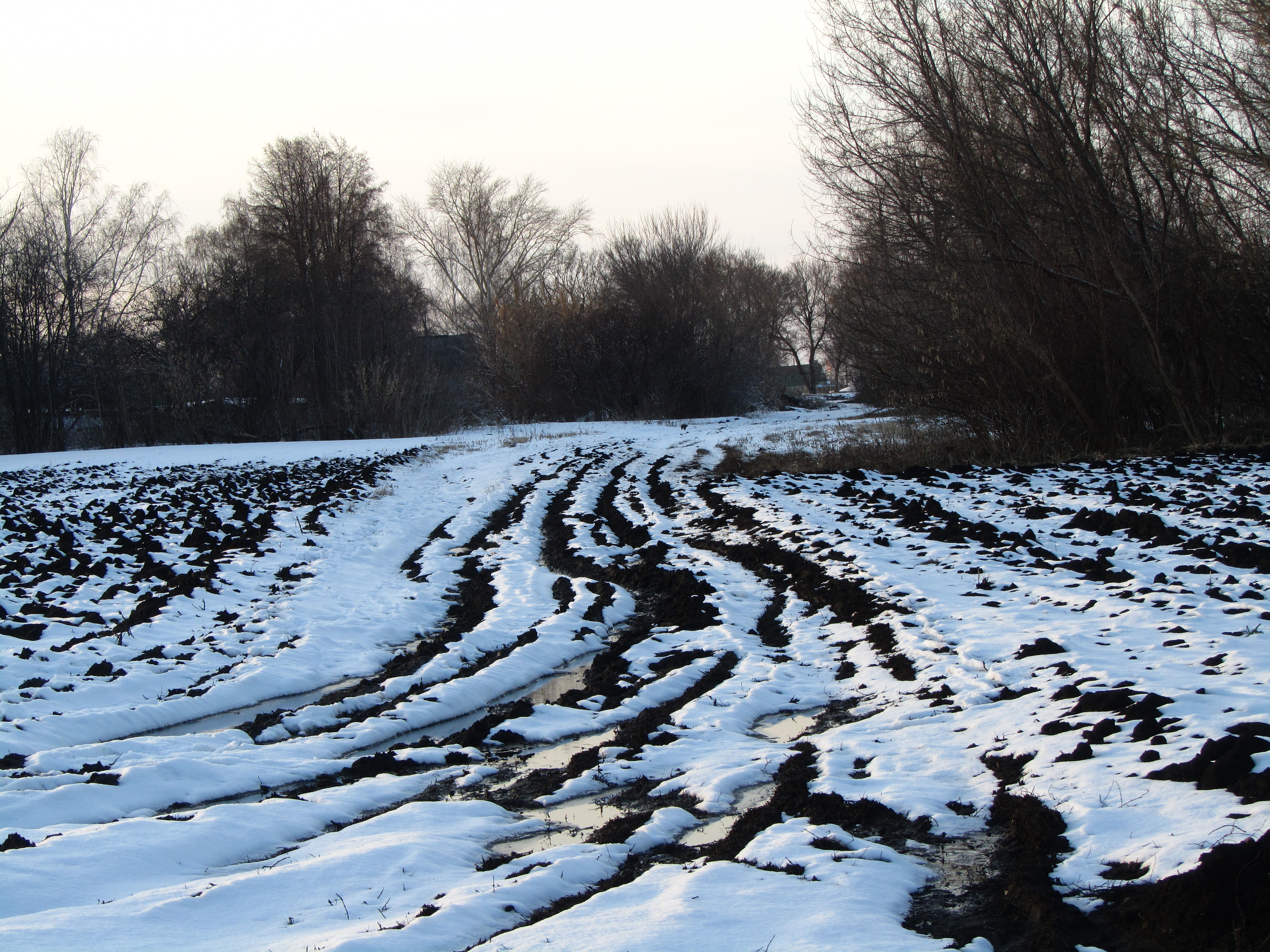 Téléchargez des papiers peints mobile Hiver, Terre/nature gratuitement.