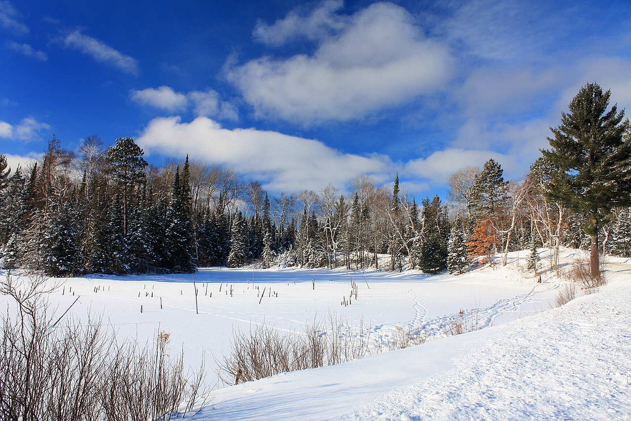 Handy-Wallpaper Winter, Erde/natur kostenlos herunterladen.