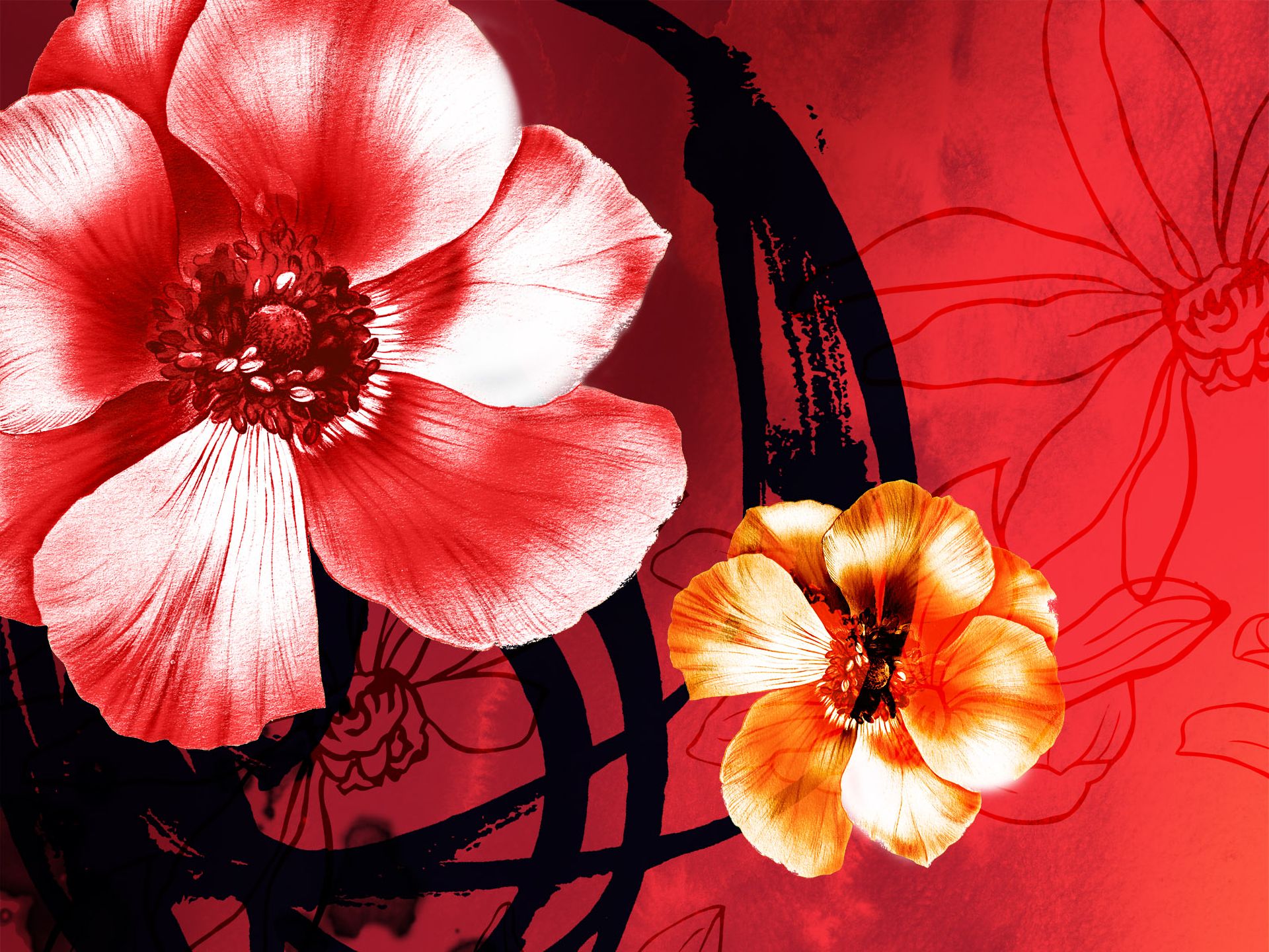 無料モバイル壁紙フラワーズ, 花, 芸術的, アネモネ, ピンクの花, オレンジフラワーをダウンロードします。