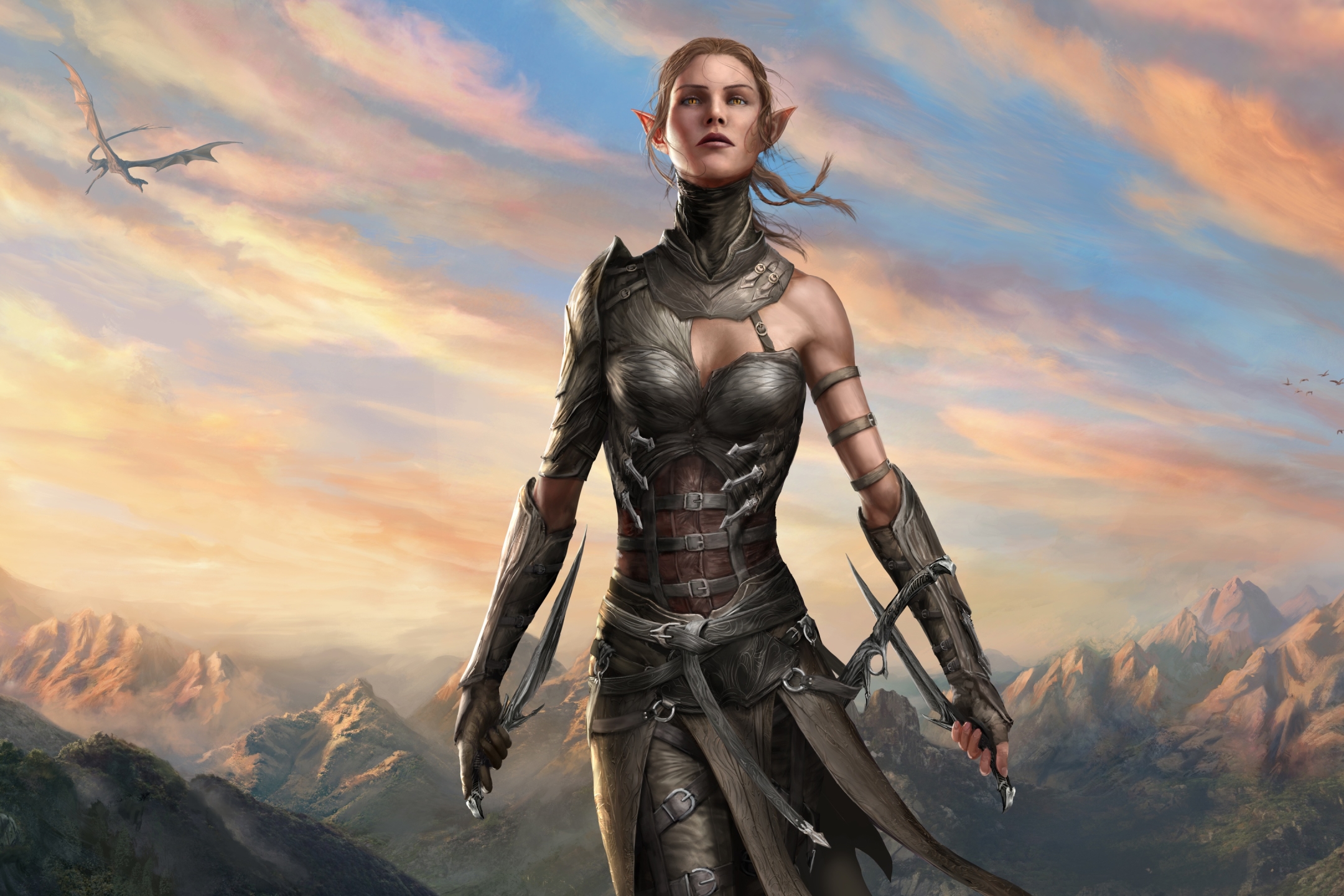 video game, divinity: original sin ii, woman warrior