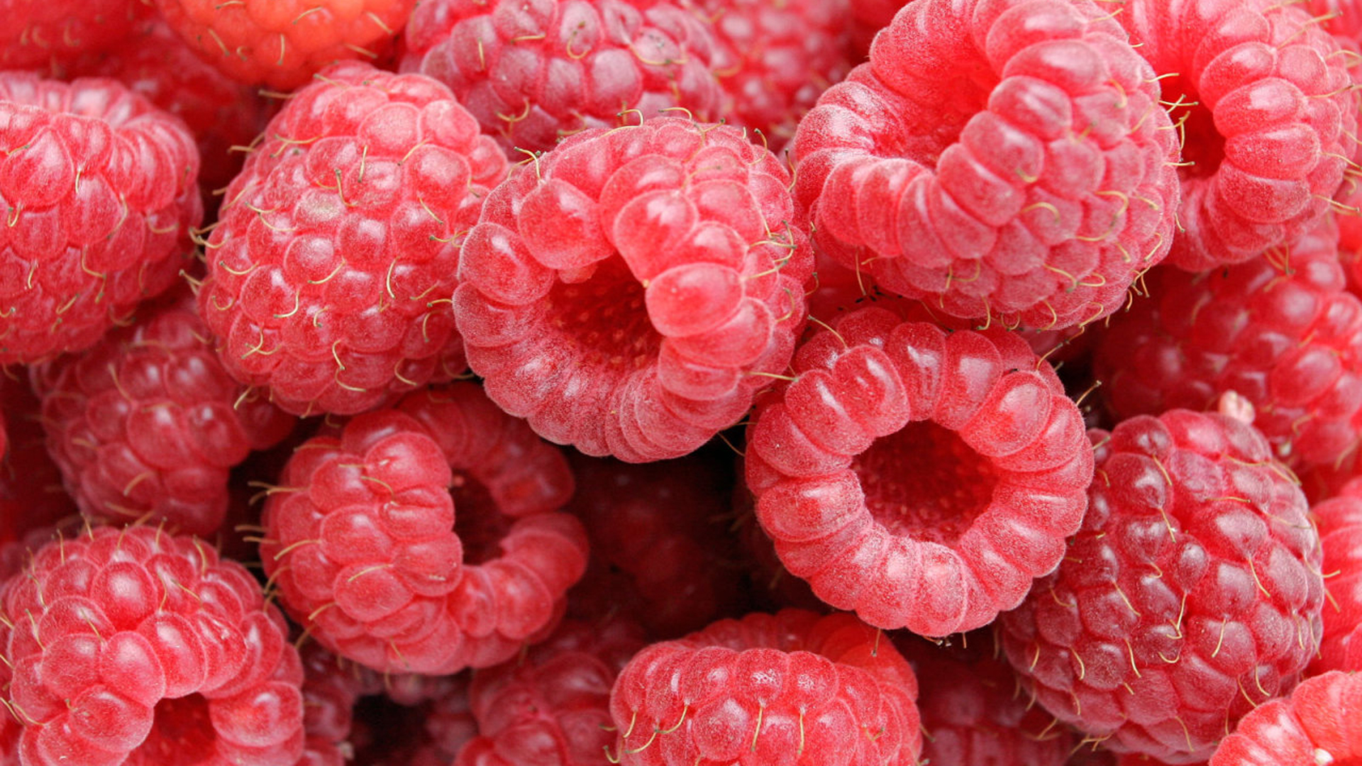 Download mobile wallpaper Raspberry, Fruits, Food for free.