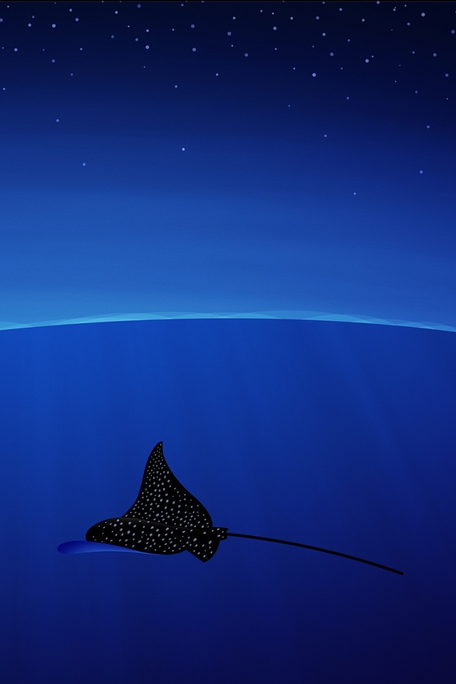 Download mobile wallpaper Animal, Manta Ray for free.