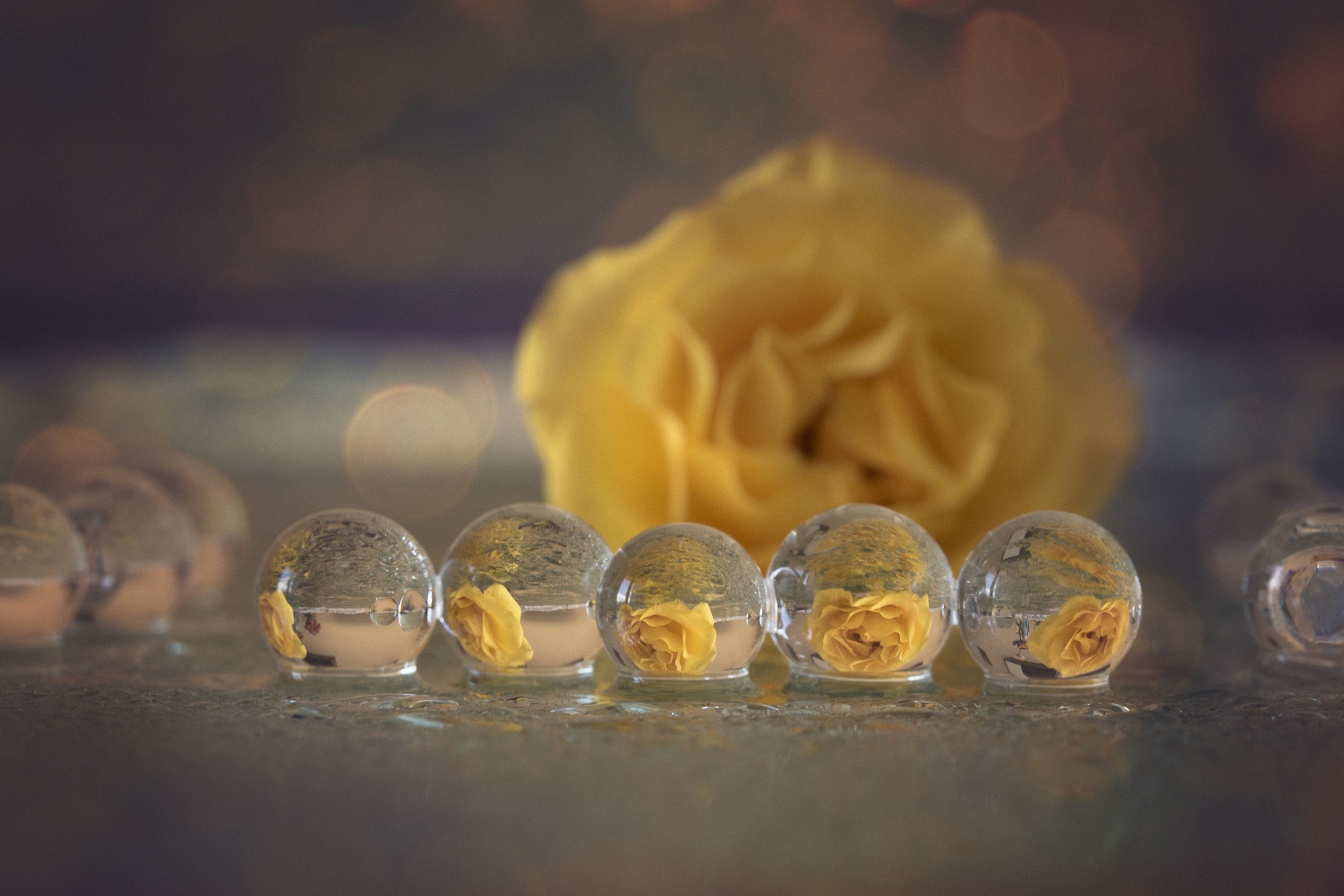 Download mobile wallpaper Nature, Reflection, Flower, Macro, Earth, Bokeh, Yellow Flower, Water Drop for free.