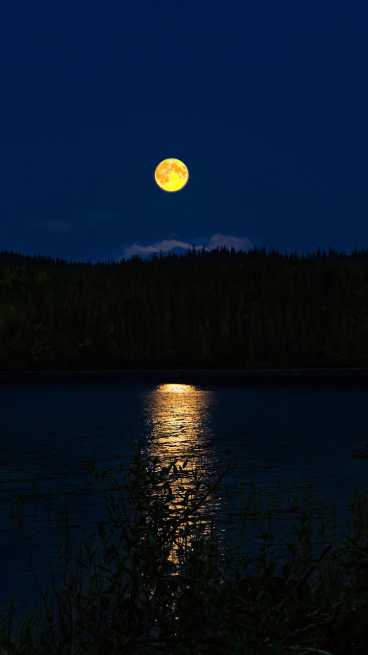 Download mobile wallpaper Night, Moon, Forest, Earth, River for free.