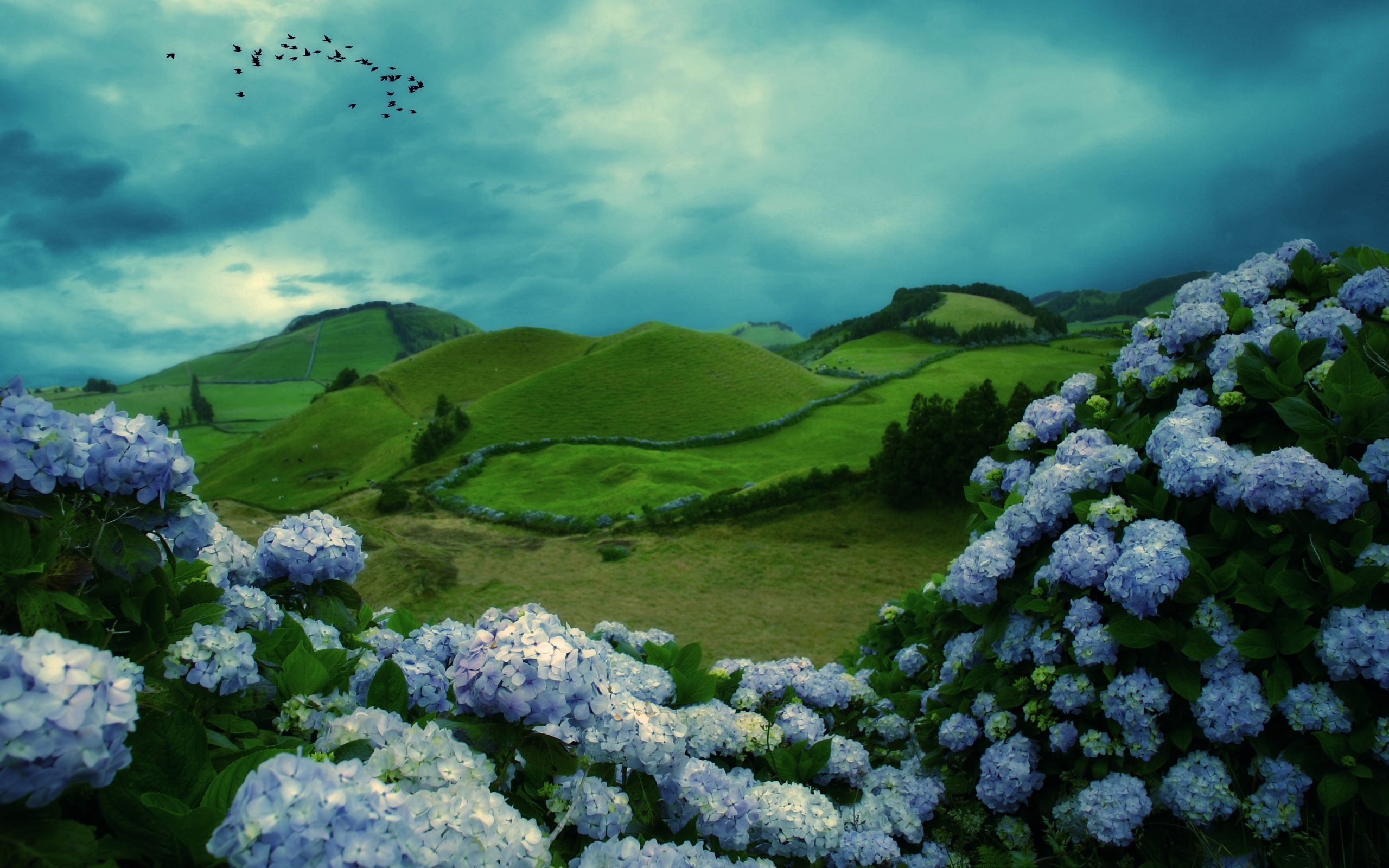 Baixe gratuitamente a imagem Paisagem, Terra/natureza na área de trabalho do seu PC