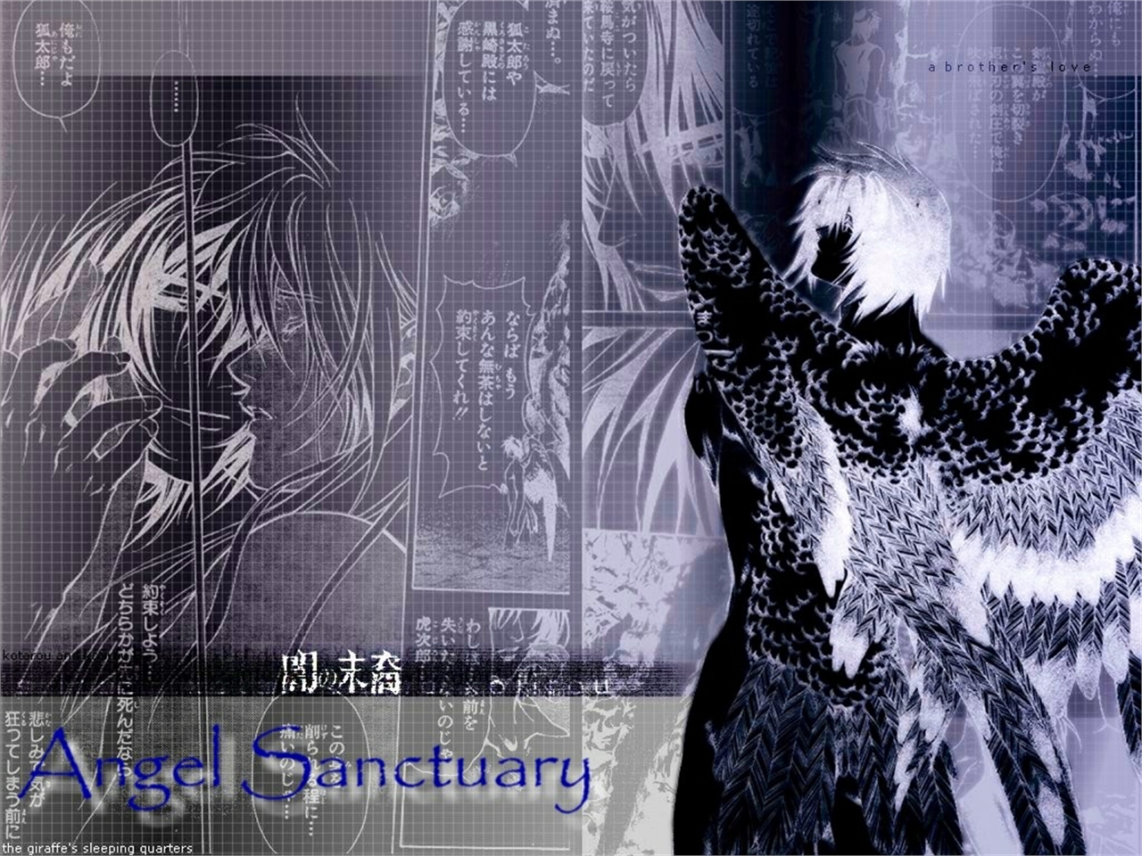 Free download wallpaper Anime, Angel Sanctuary on your PC desktop