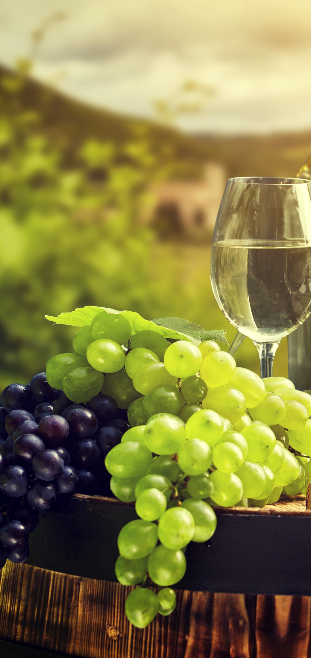 Download mobile wallpaper Food, Cheese, Grapes, Still Life, Fruit, Wine for free.
