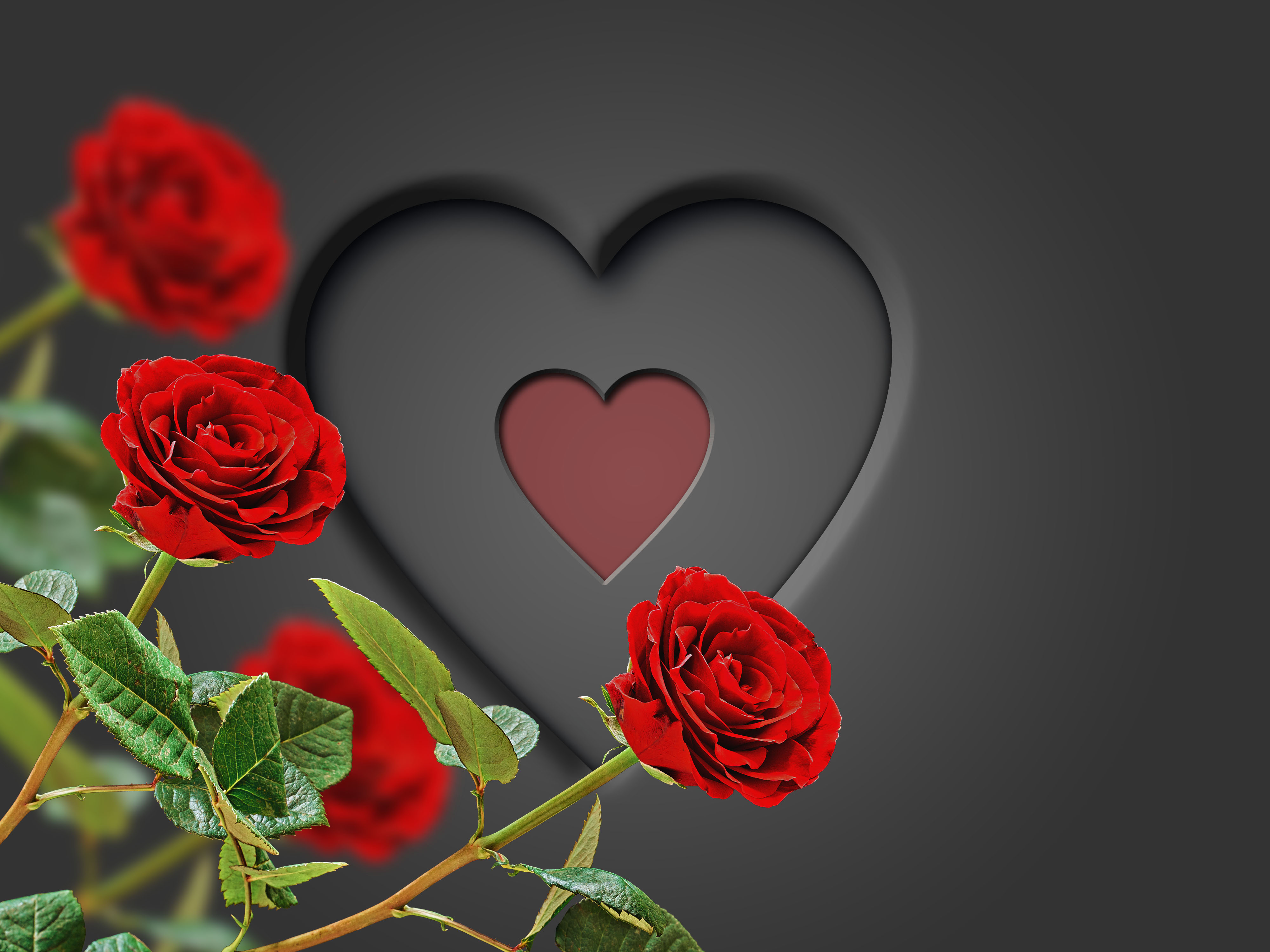 Завантажити шпалери безкоштовно Серце, Художній, Червона Троянда, Романтичний картинка на робочий стіл ПК