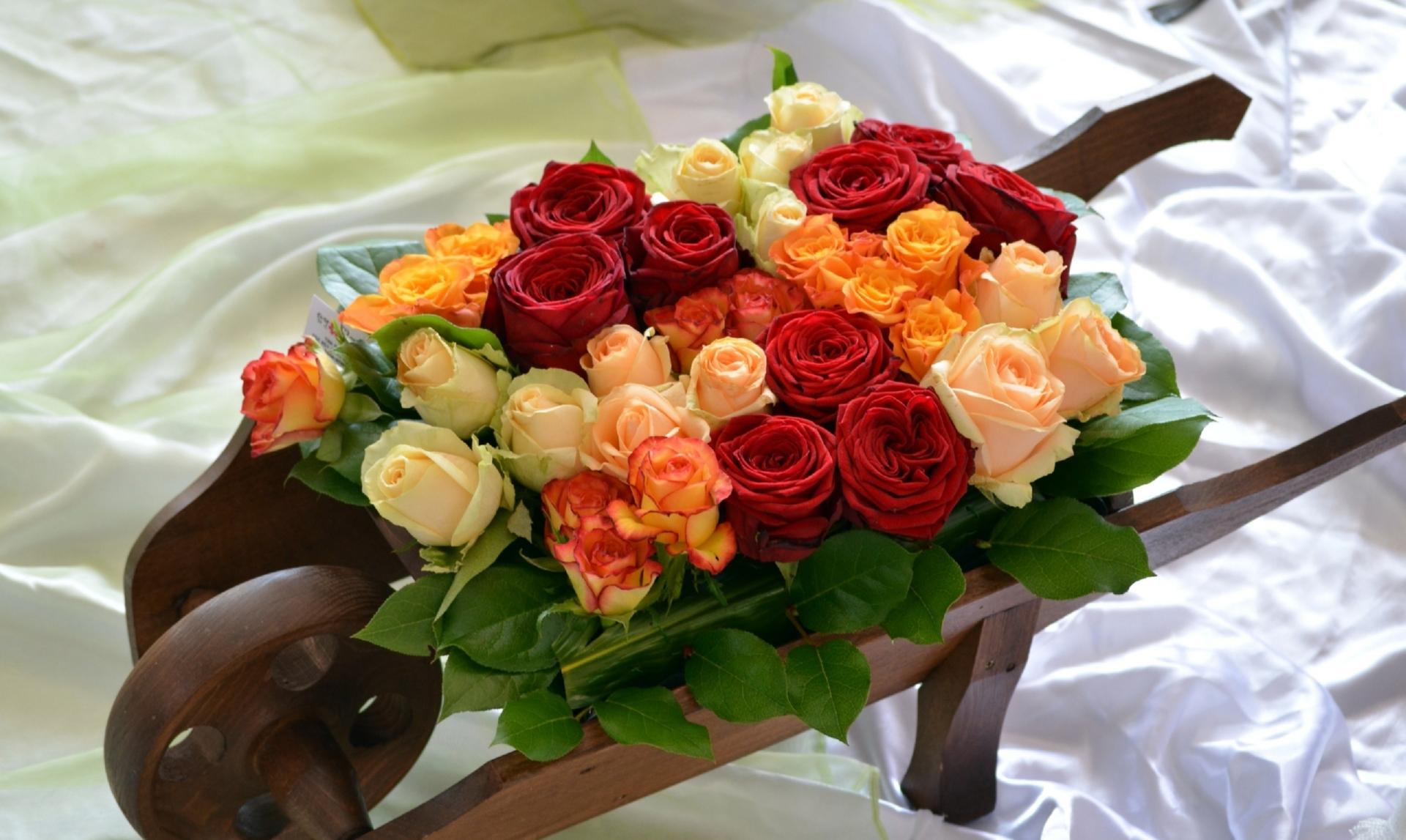 Laden Sie das Blume, Rose, Farben, Menschengemacht, Stillleben-Bild kostenlos auf Ihren PC-Desktop herunter