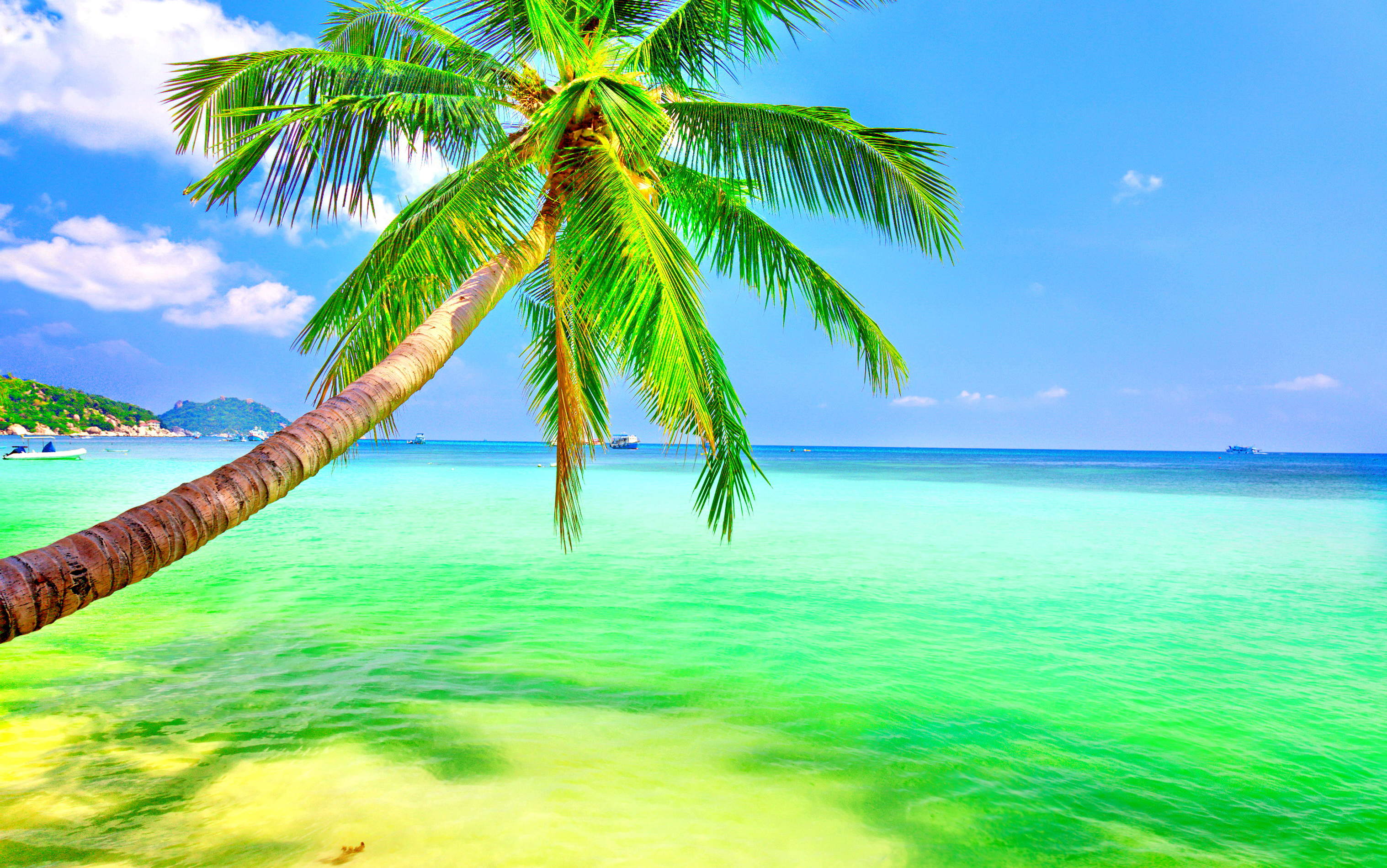 Скачать картинку Океан, Пальма, Зеленый, Тропический, Бирюзовый, Земля/природа в телефон бесплатно.
