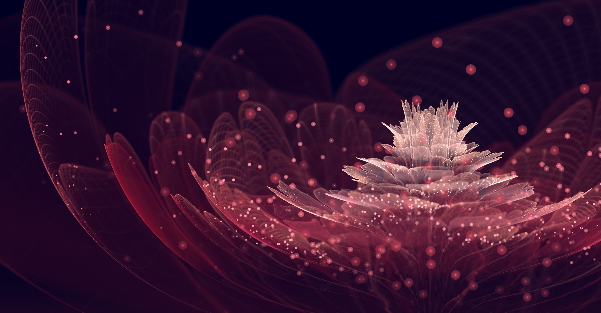 abstract, flower, shine, petals, brilliance, points, point Ultra HD, Free 4K, 32K