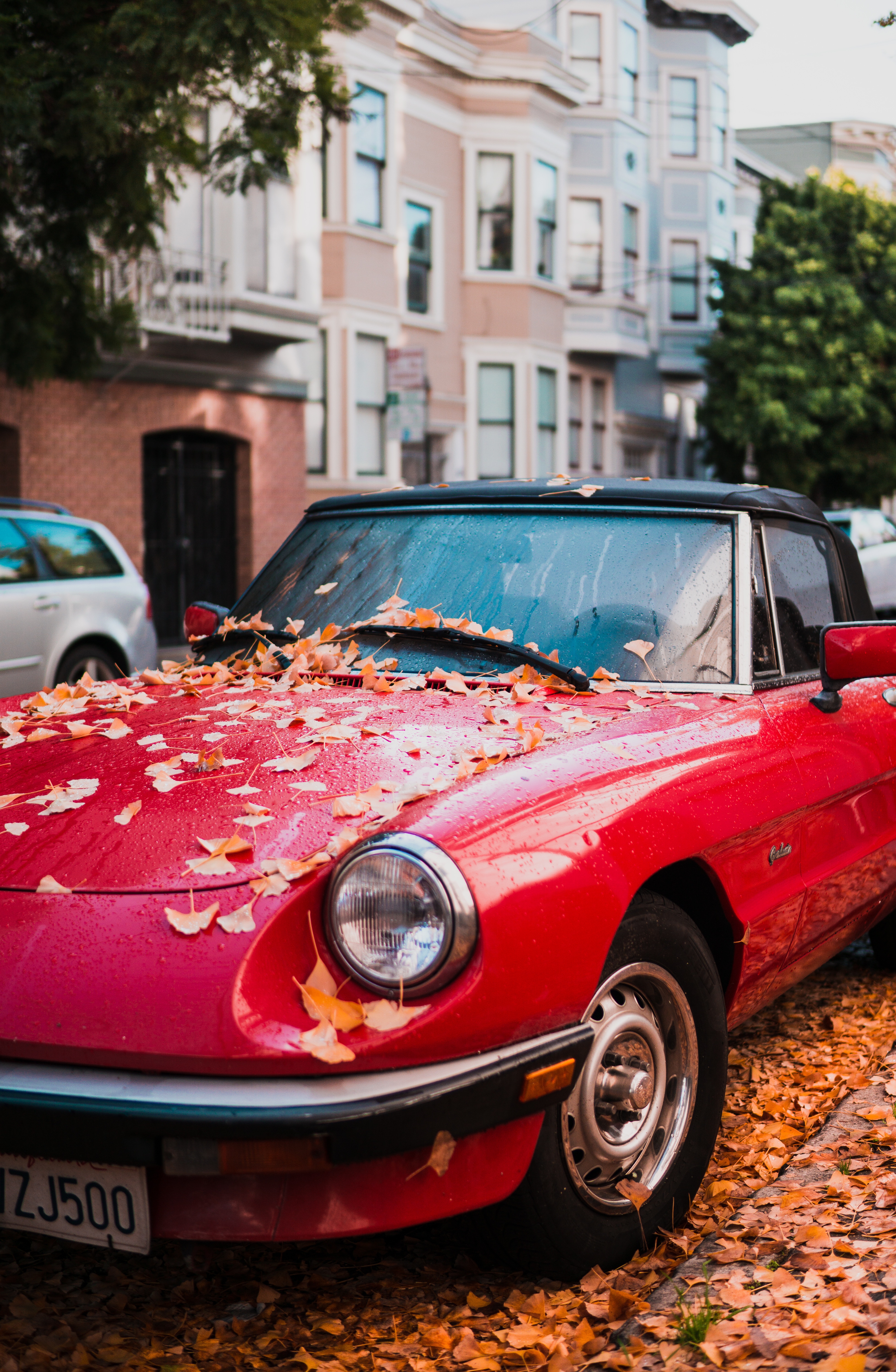 Download mobile wallpaper Autumn, Side View, Foliage, Cars, Auto for free.