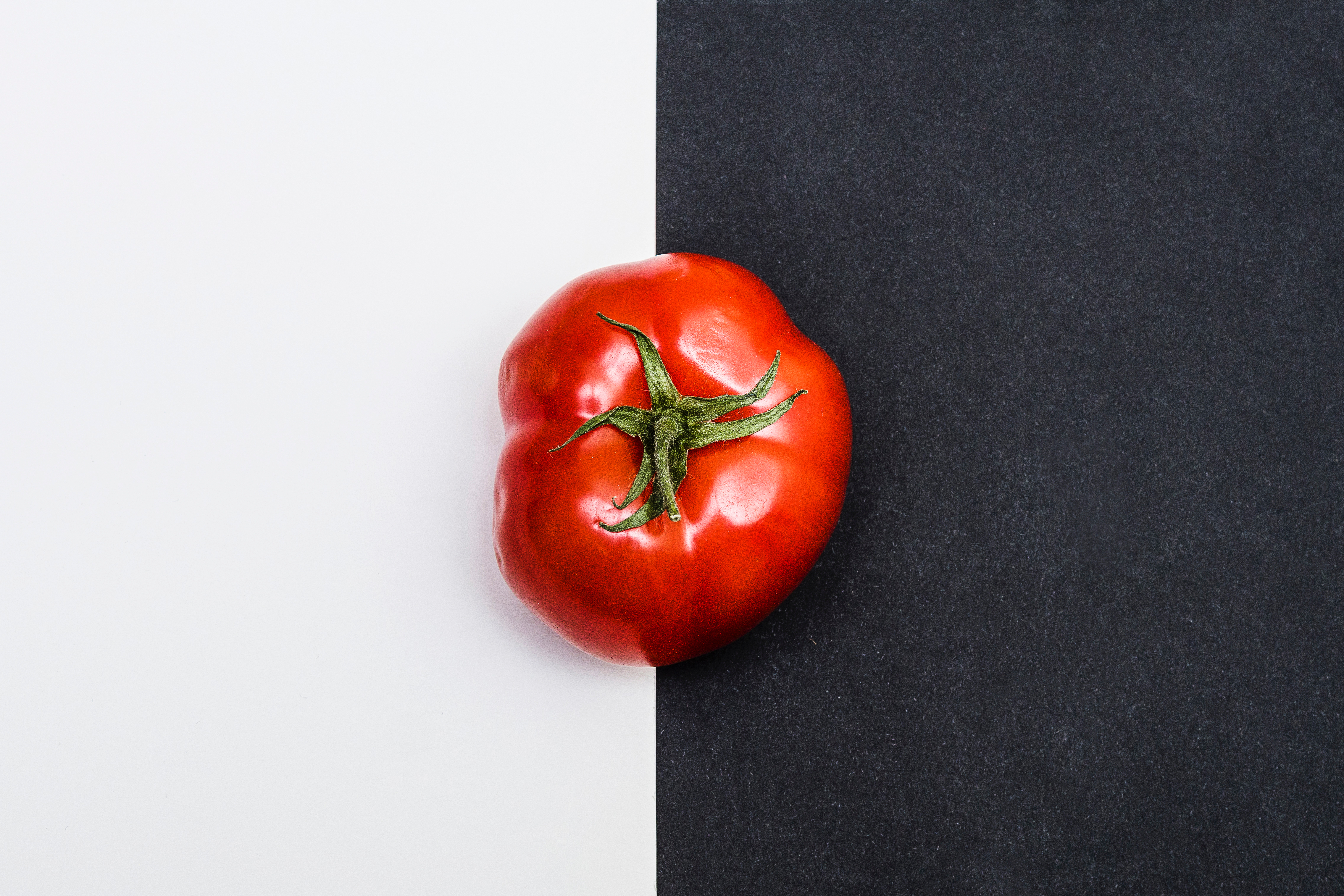 98017 скачать картинку минимализм, овощ, томат - обои и заставки бесплатно