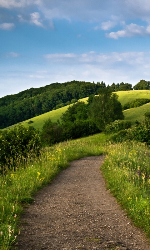 Download mobile wallpaper Landscape, Nature, Grass, Forest, Path, Hill, Man Made for free.